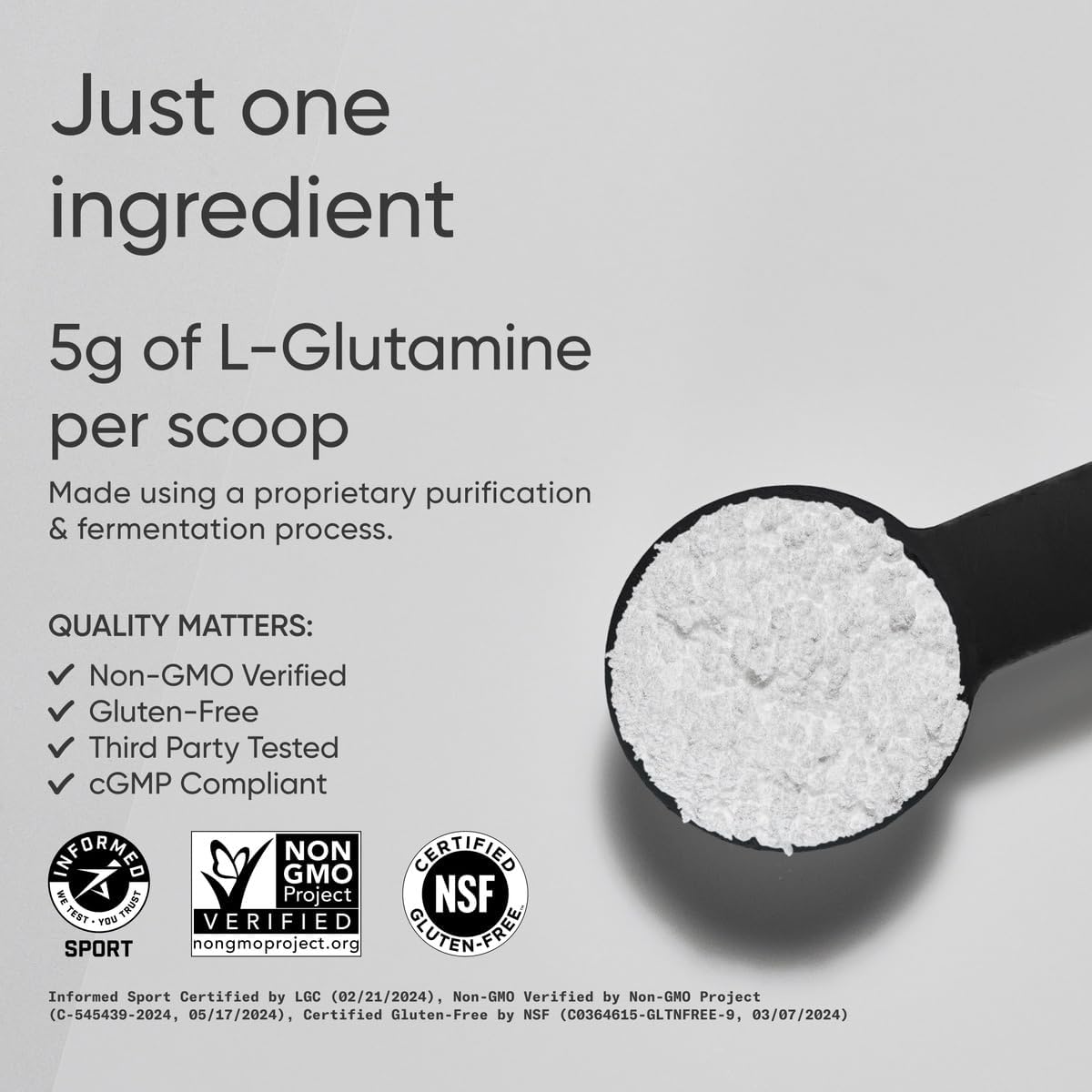 Sports Research L-Glutamine - Workout Recovery, Immune Health & Gut Health Support - 5 G Per Serving - 17.64 Oz