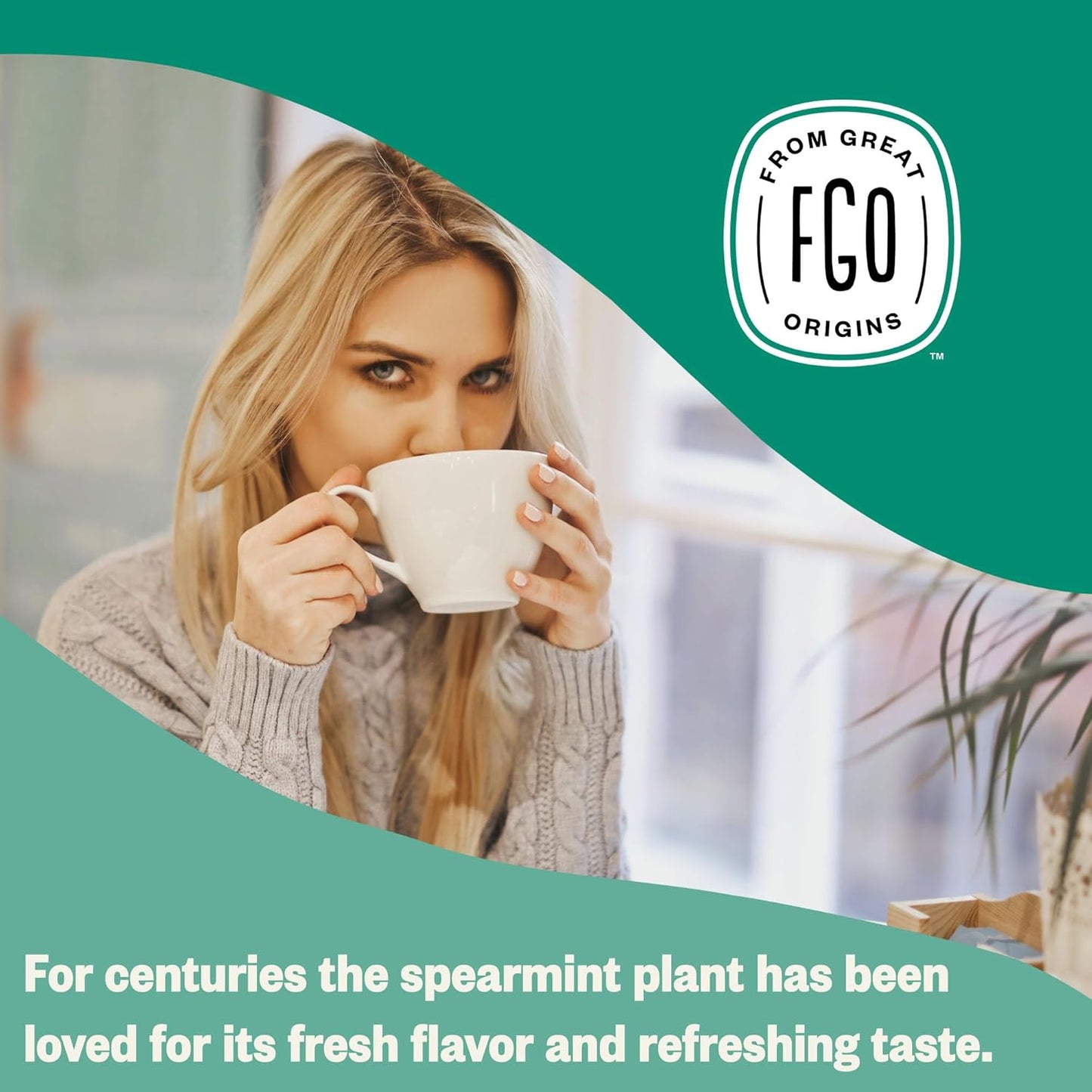 FGO Organic Nettle Leaf Tea, 100 Count, Eco-Conscious Tea Bags, Caffeine Free, Resealable Bag, Packaging May Vary (Pack of 1)