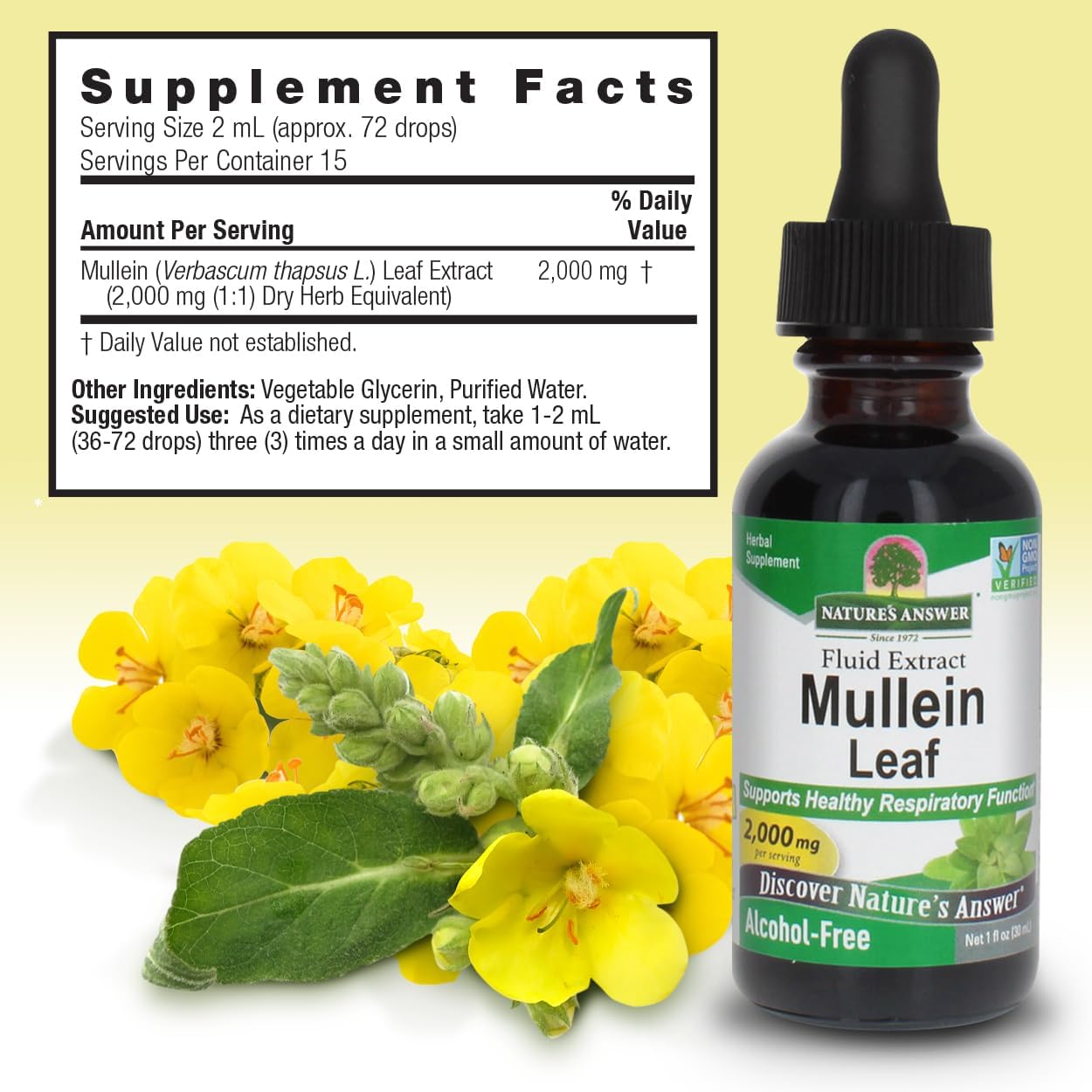 Nature's Answer Mullein Leaf | Herbal Supplement | Supports Respiratory Function & Mucous Membranes | Non-GMO & Kosher | Gluten-Free & Alcohol-Free 1oz (2 Pack)