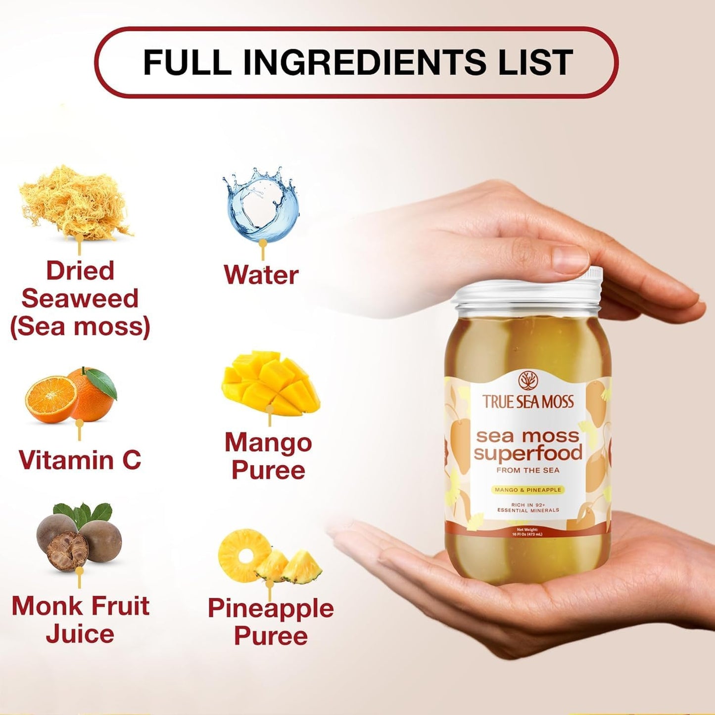 Wildcrafted Irish Sea Moss Gel - Seamoss, Gut Health & Antioxidant Supports - Made in USA (Mango/Pineapple, Pack of 1)