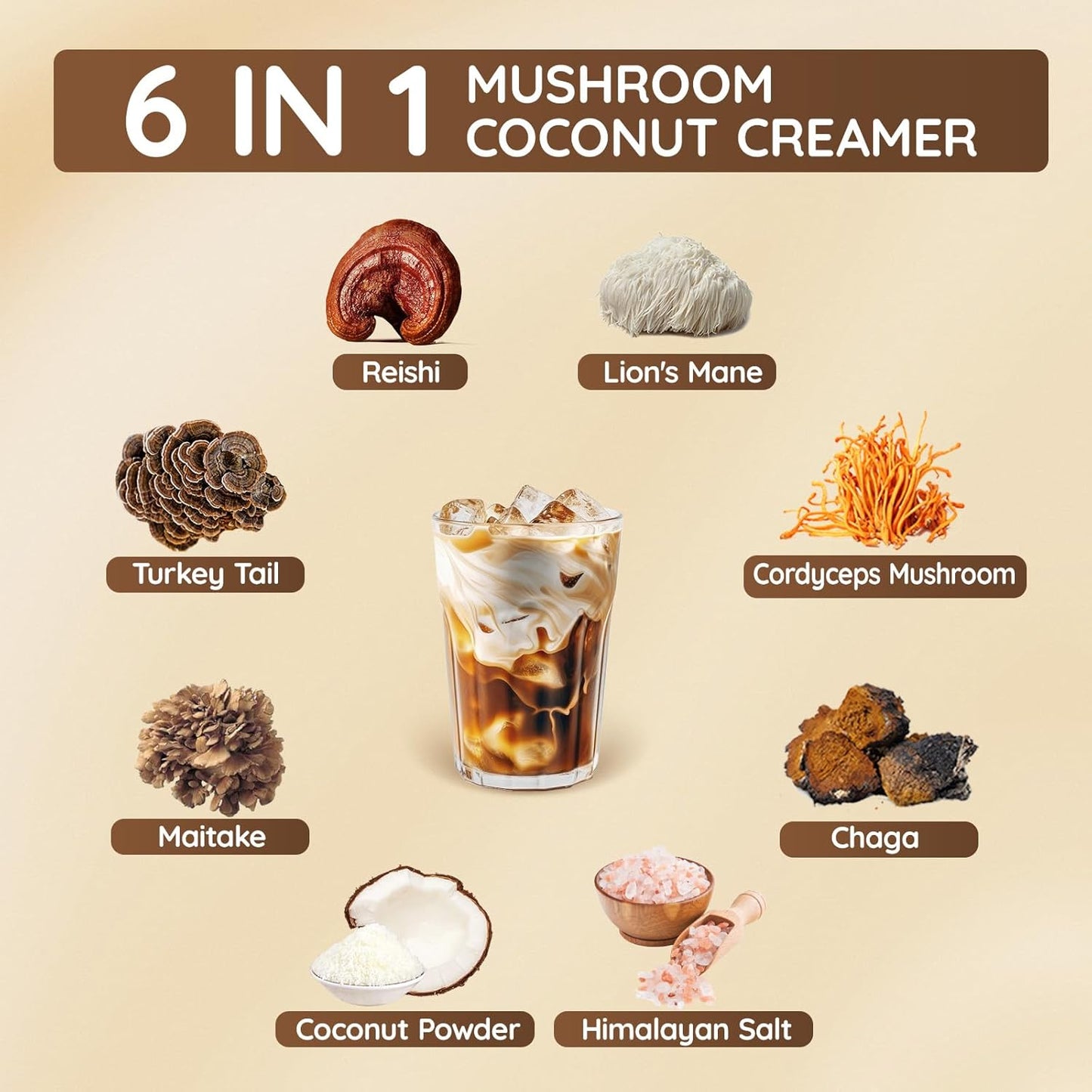 Veltracha Mushroom Coconut Coffee Creamer, Coffee Mate Creamer Powder with Pure Coconut Extract and 6 Adaptogenic Mushroom, Superfood Creamer Vegan & Unsweetened, 7.41oz (30 Servings), Mocha