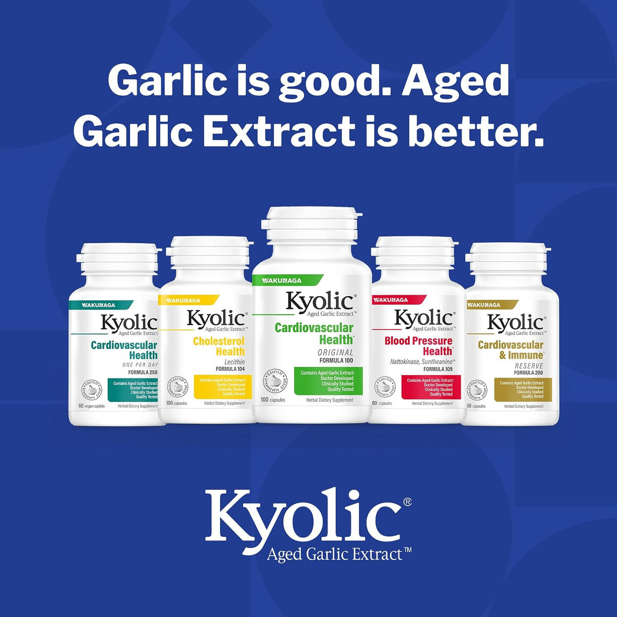 Wakunaga Kyolic Aged Garlic Extract Cholesterol Formula 104 -300 Capsules