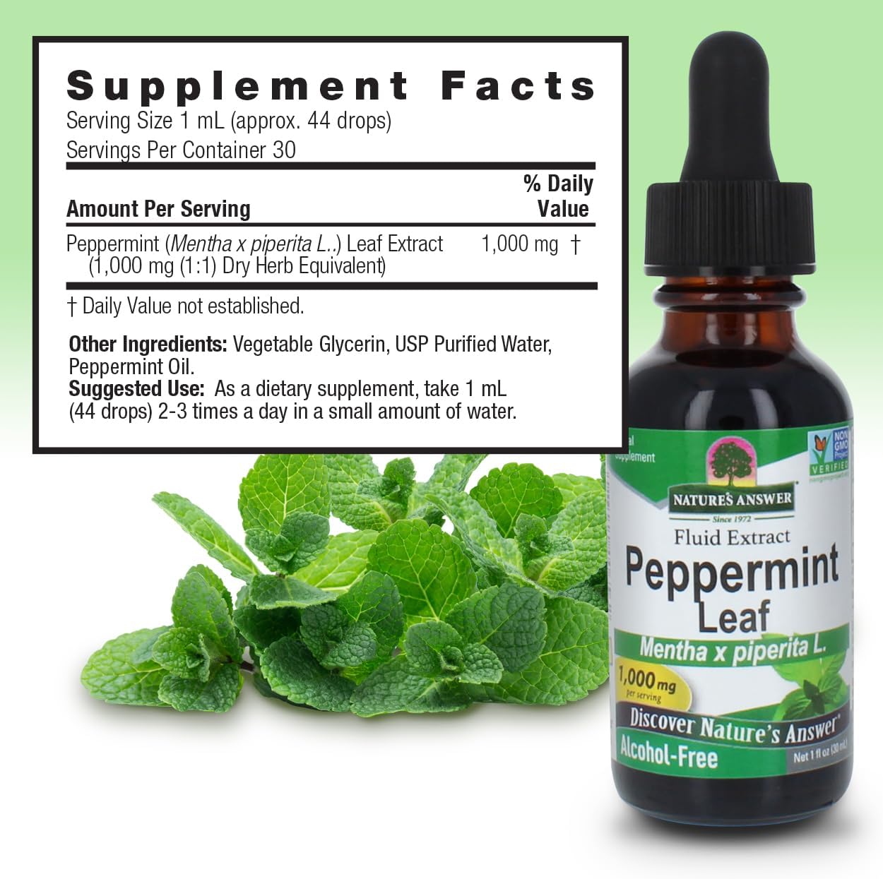 Nature's Answer Peppermint Leaf Mentha x Piperita Gluten Alcohol Free Herbal Supplement Supports Healthy Digestive Function* – 1 FL Oz