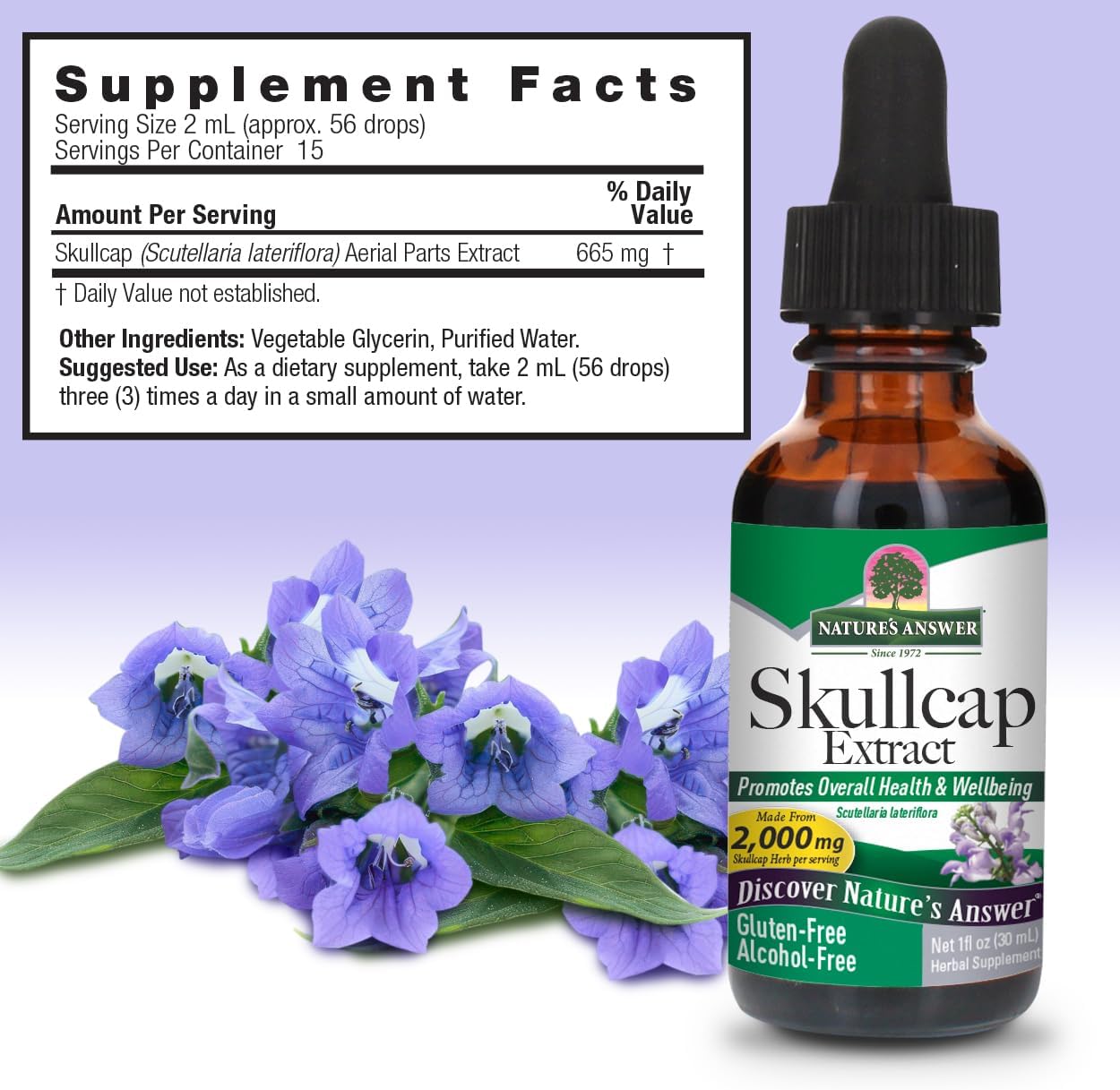 Nature's Answer Alcohol-Free Skullcap Herb Extract Supplement 1-Fluid Ounce Liquid | Natural Calming Supplement | Nervous System Support