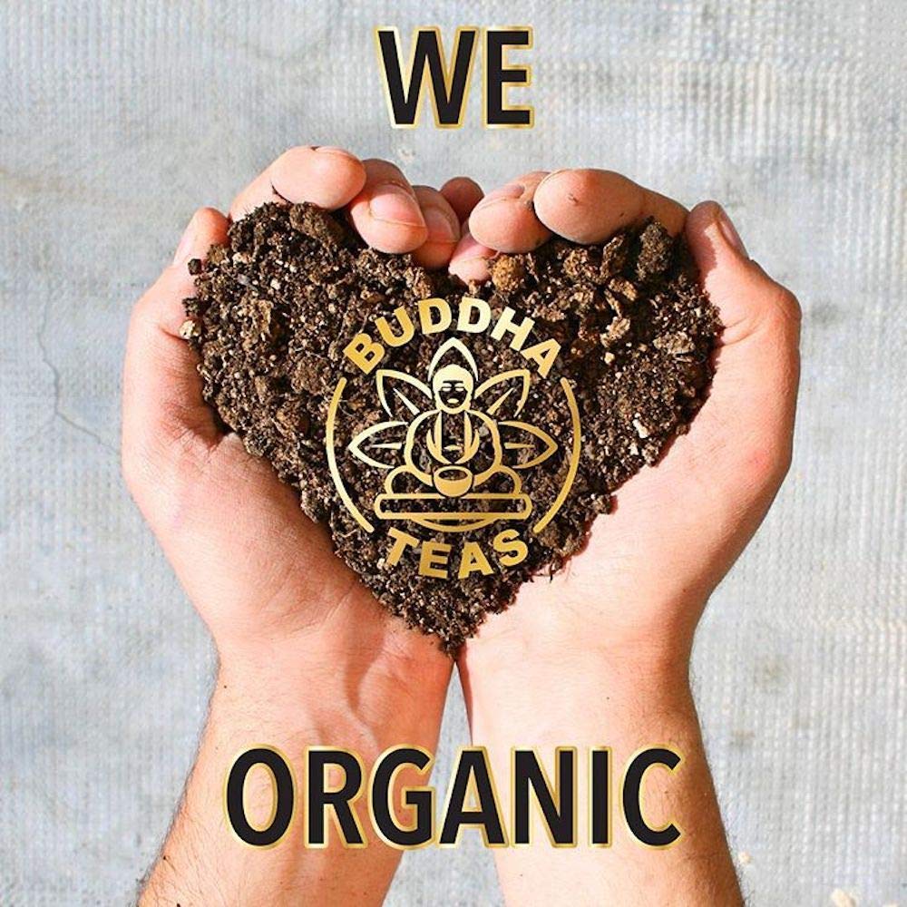 Buddha Teas Organic Dandelion Root Tea – 18 Bleach-Free Tea Bags – Caffeine-Free Tea with a Rich, Earthy Taste, Natural Source of Vitamins, Minerals, and Antioxidants, Kosher, GMO-Free
