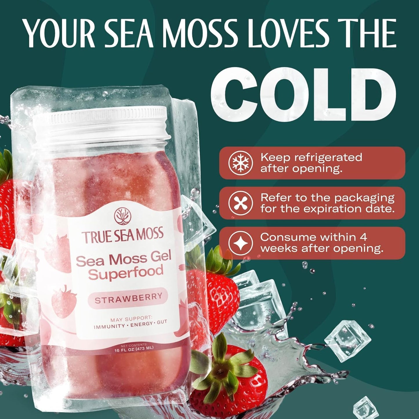 TrueSeaMoss Sea Moss Gel – Made in USA – Wildcrafted Seamoss, Fresh Fruits & Sea Vegetables – Apple/Cinnamon, Pack of 1 (Labels may Vary)