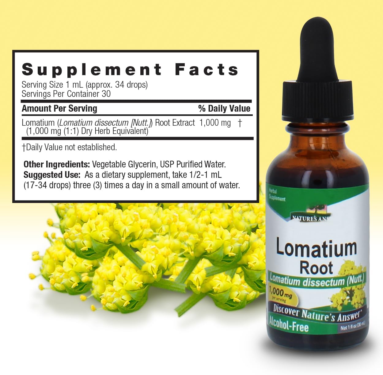 Nature’s Answer Lomatium Root Extract Lomatium Dissectum - Natural Herbal Supplement - Gluten Alcohol-Free - Ideal for Immunity Overall Health Wellbeing – 500mg (1 FL Oz)