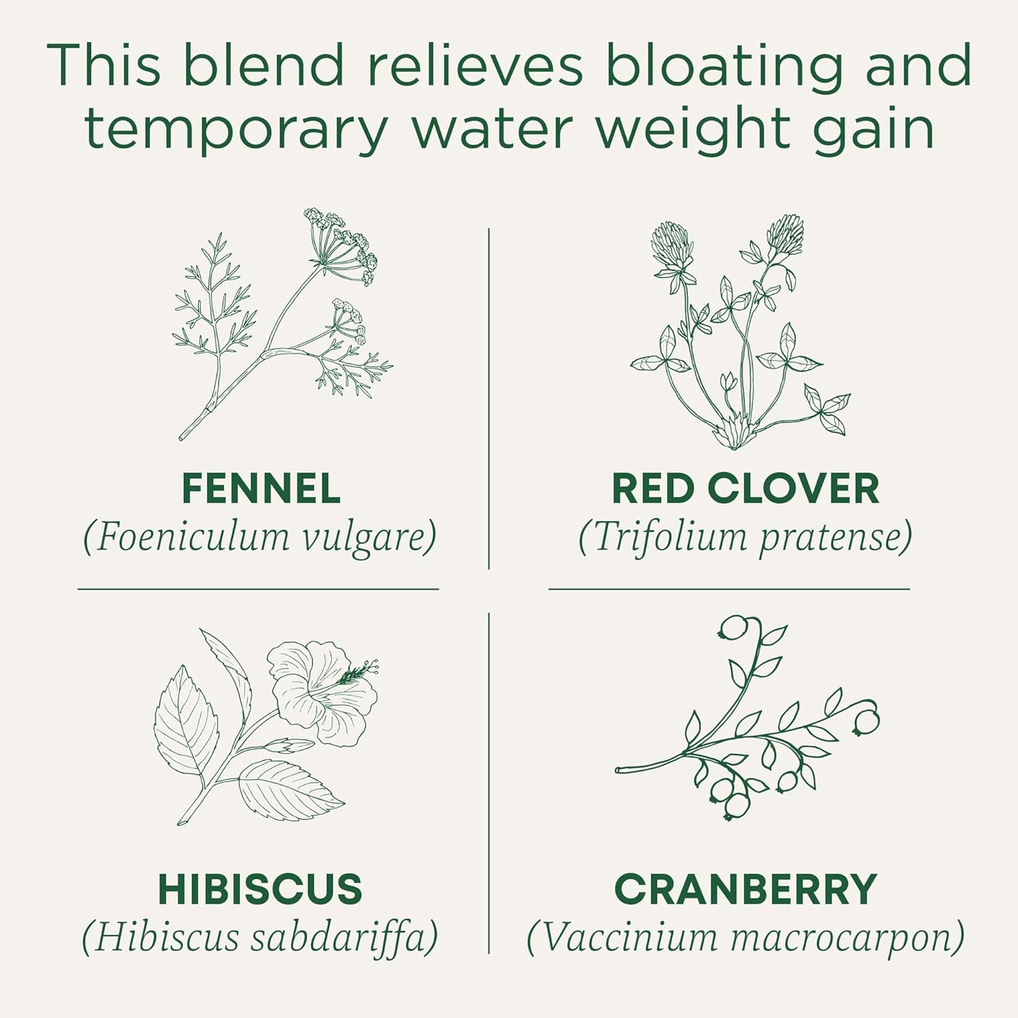 Traditional Medicinals Tea, Organic Weightless, Relieves Temporary Water Weight Gain, Cranberry, 16 Tea Bags