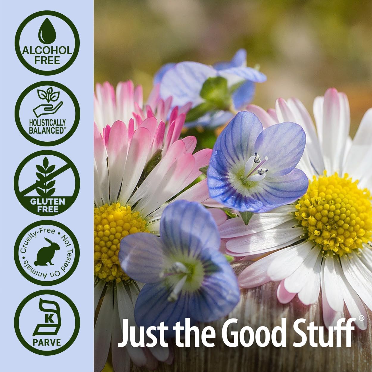 Nature's Answer Alcohol-Free Eyebright Herb, 1-Fluid Ounce