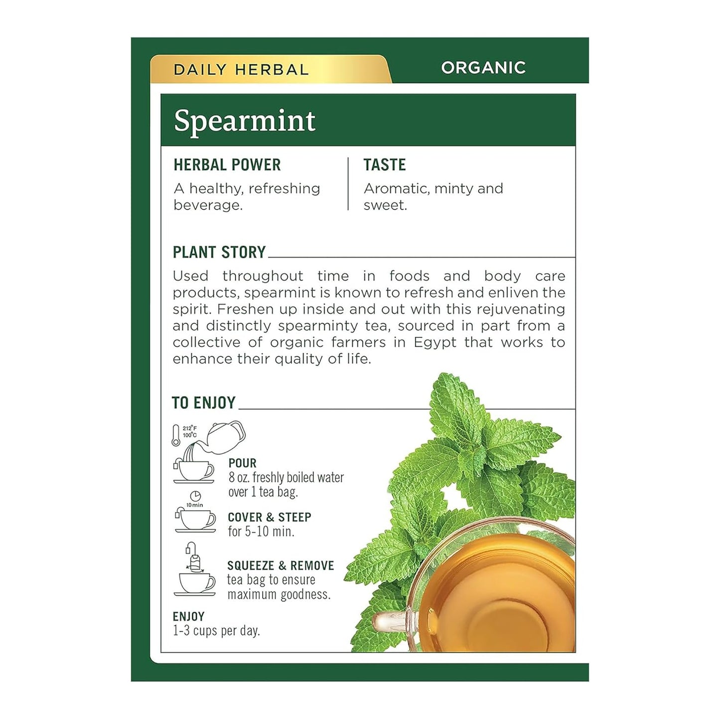 Traditional Medicinals Organic Spearmint herbal tea, Fair Trade Certified, 16 ct