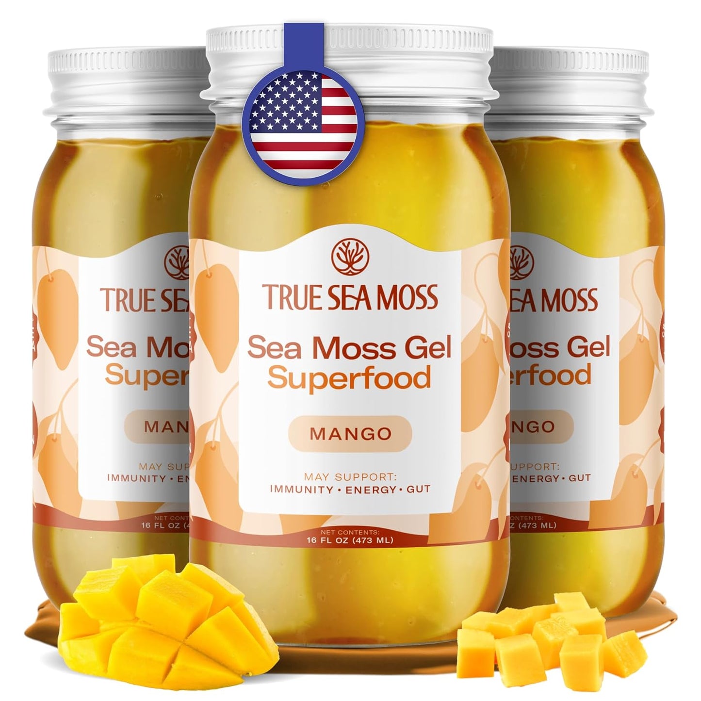TrueSeaMoss Sea Moss Gel – Made in USA – Wildcrafted Seamoss, Fresh Fruits & Sea Vegetables – Apple/Cinnamon, Pack of 1 (Labels may Vary)