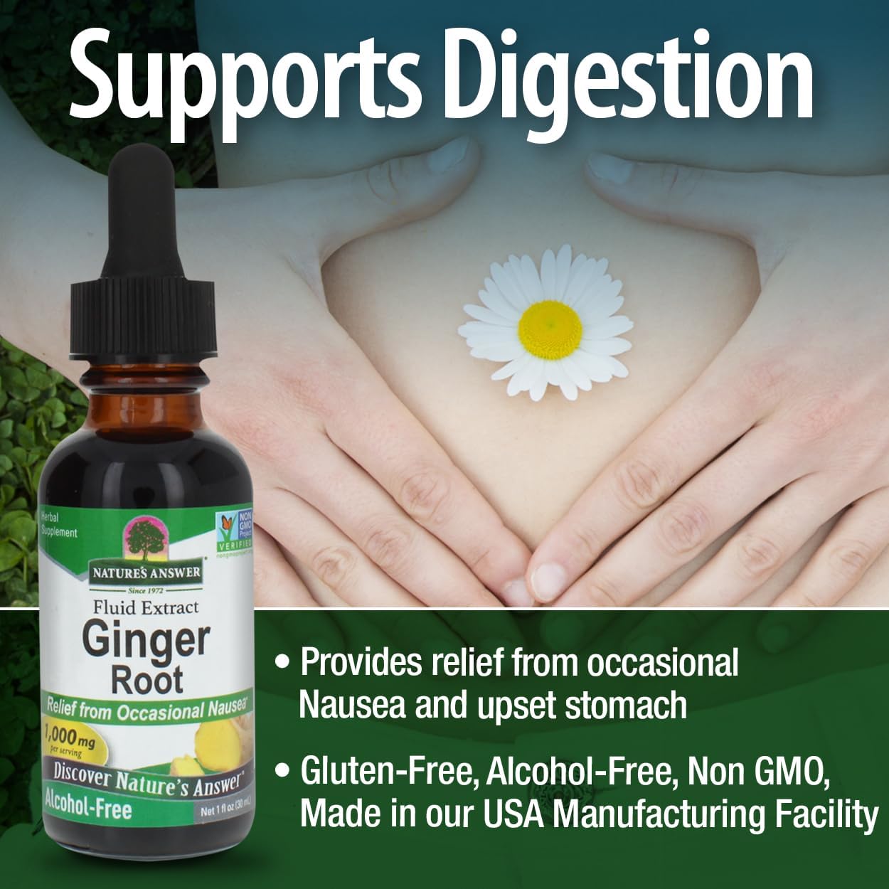 Nature's Answer Ginger Root Alcohol Free Extract 1 Ounce | Supports Stomach Function | Vegan | Vegetarian | Non-GMO | Gluten Free