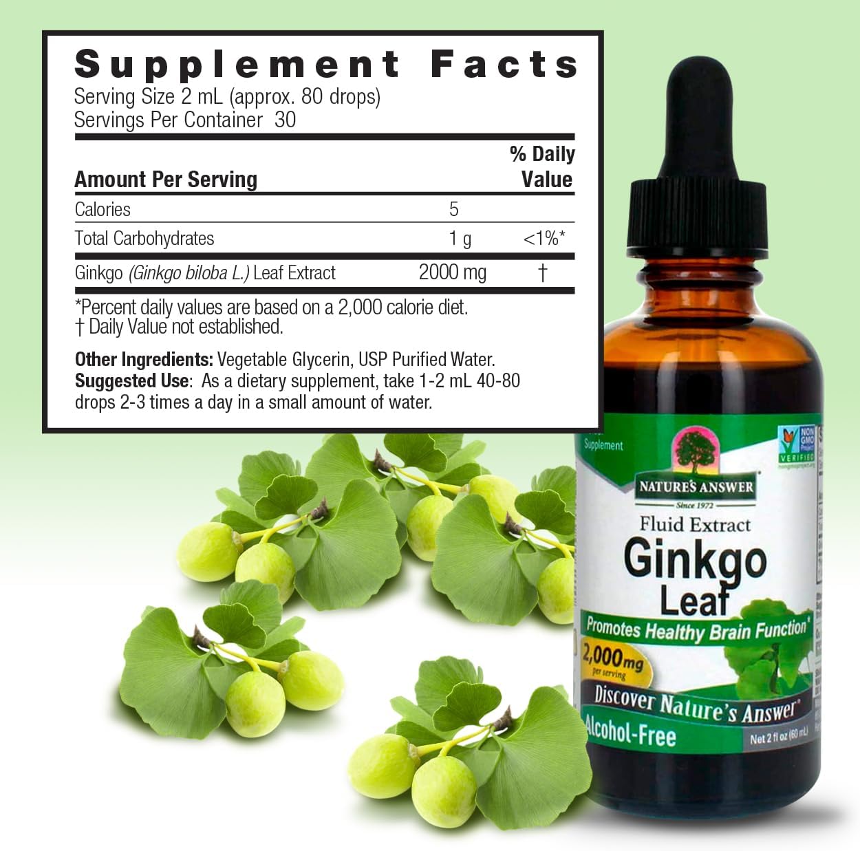 Nature's Answer Alcohol-Free Ginkgo Leaf 2000mg 2oz Extract | Stimulates Memory, Mood & Concentration | Gluten-Free, Kosher Certified & No Preservatives | Single Count