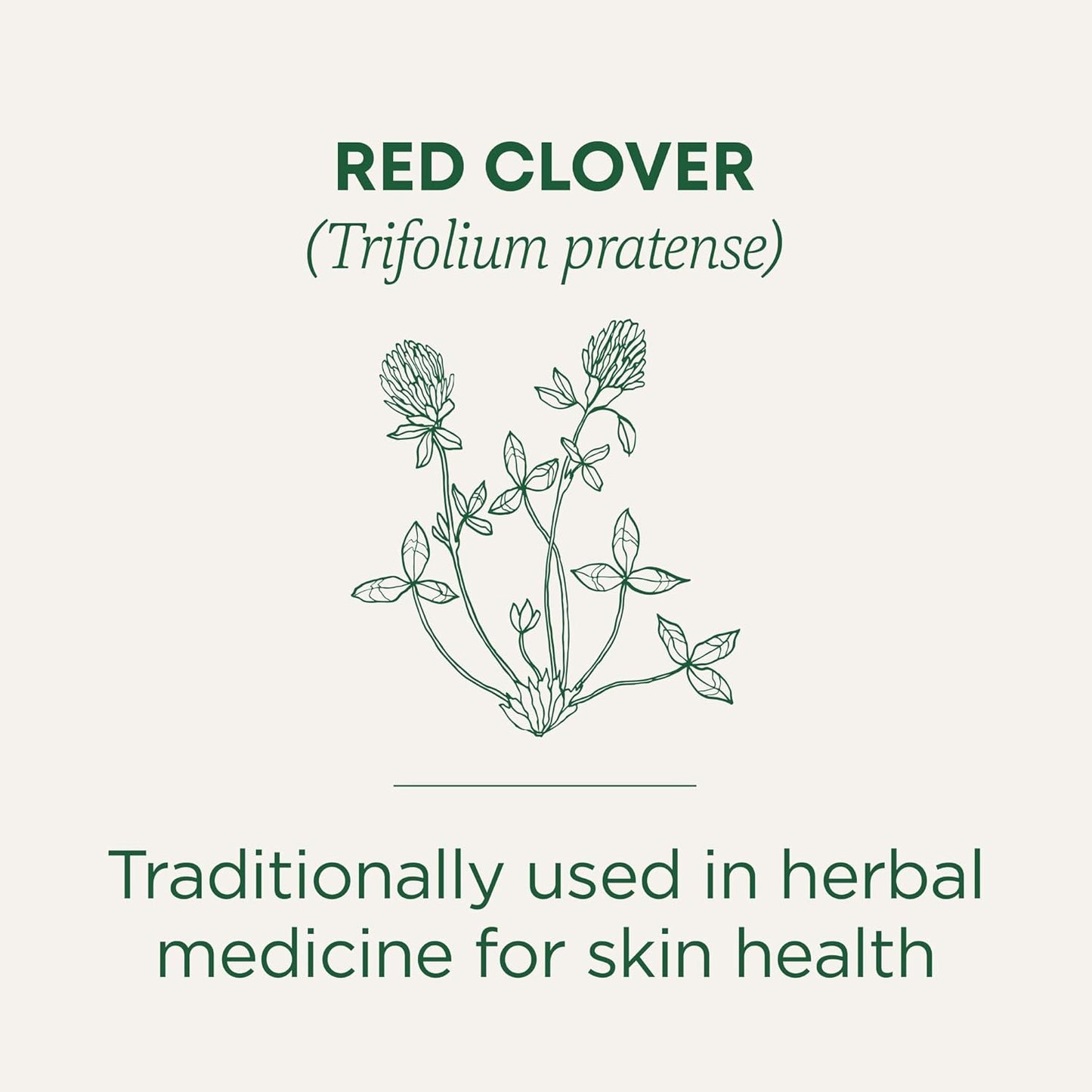 Traditional Medicinals Tea, Organic Red Clover, Supports Skin Health, 16 Tea Bags