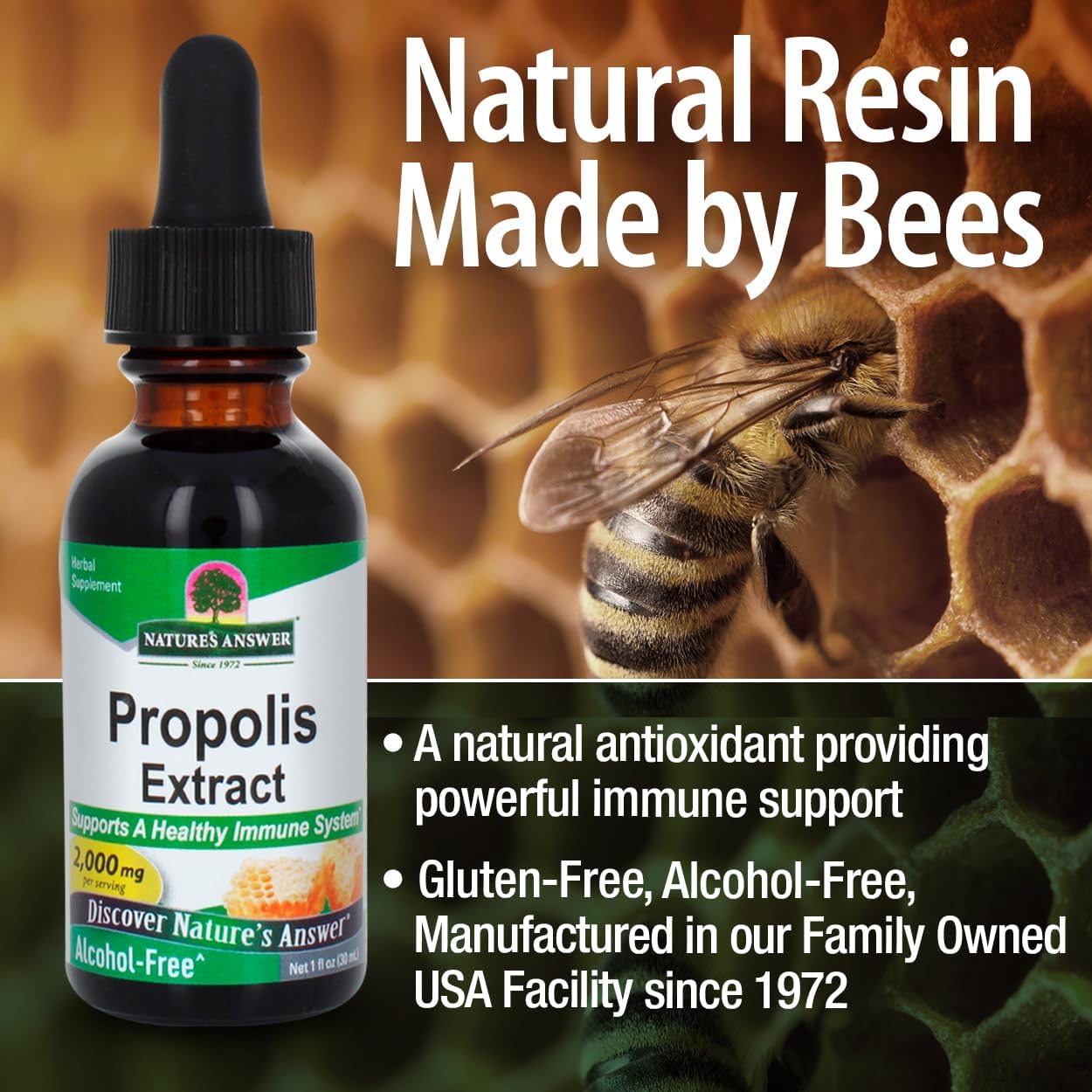 Nature's Answer Propolis Resin Extract 1 Fluid Ounce - Alcohol Free, Immune Support, Gluten Free, Made in USA, Natural Bee Product, Suitable for Everyone, Pure Herbal Extract