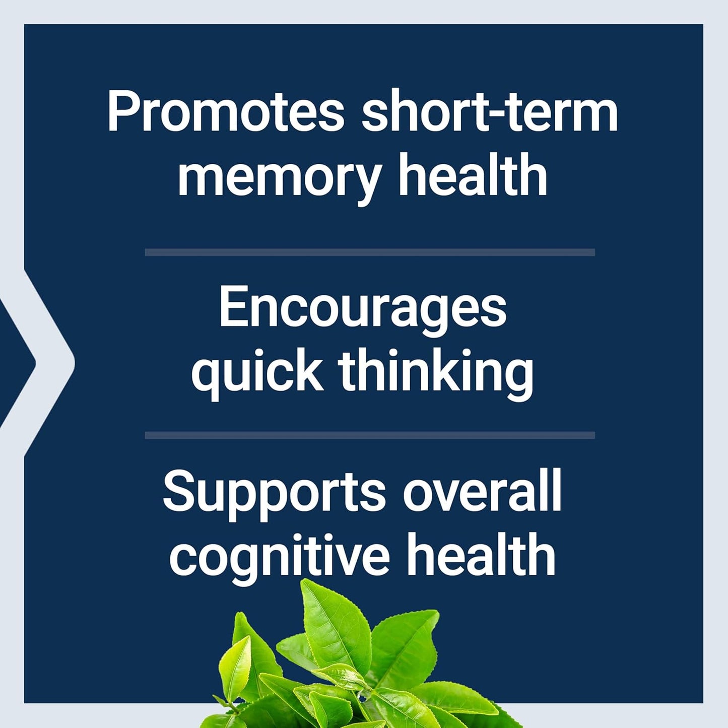 Life Extension Neuro-Mag Magnesium L-Threonate, Magnesium L-threonate, Memory Health, Quick Thinking, Cognitive Health Support, Vegetarian, Non-GMO, 90 Vegetarian Capsules