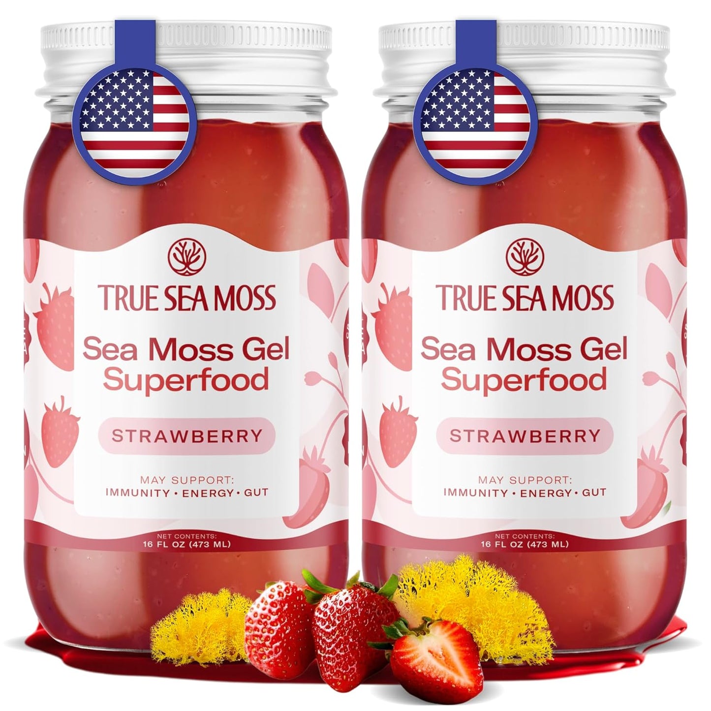 TrueSeaMoss Sea Moss Gel – Made in USA – Wildcrafted Seamoss, Fresh Fruits & Sea Vegetables – Apple/Cinnamon, Pack of 1 (Labels may Vary)