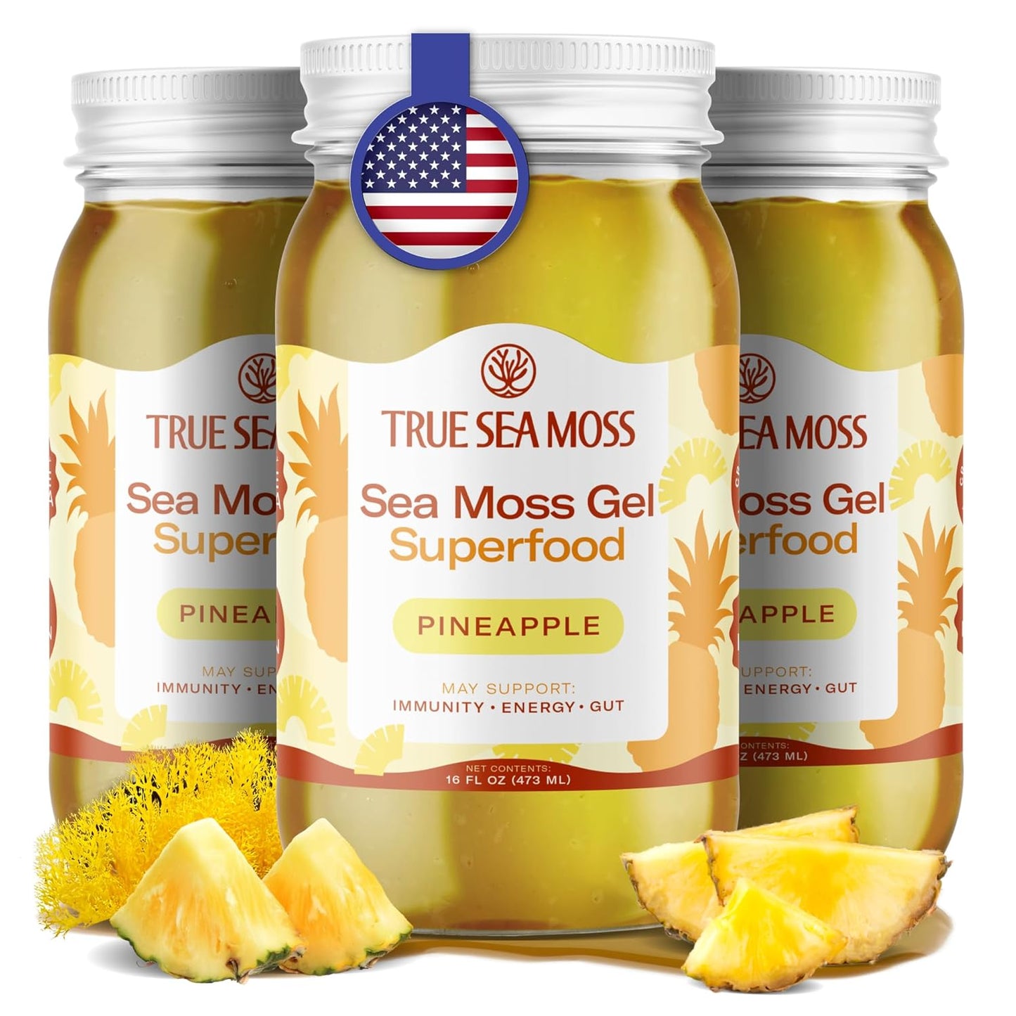 TrueSeaMoss Sea Moss Gel – Made in USA – Wildcrafted Seamoss, Fresh Fruits & Sea Vegetables – Apple/Cinnamon, Pack of 1 (Labels may Vary)