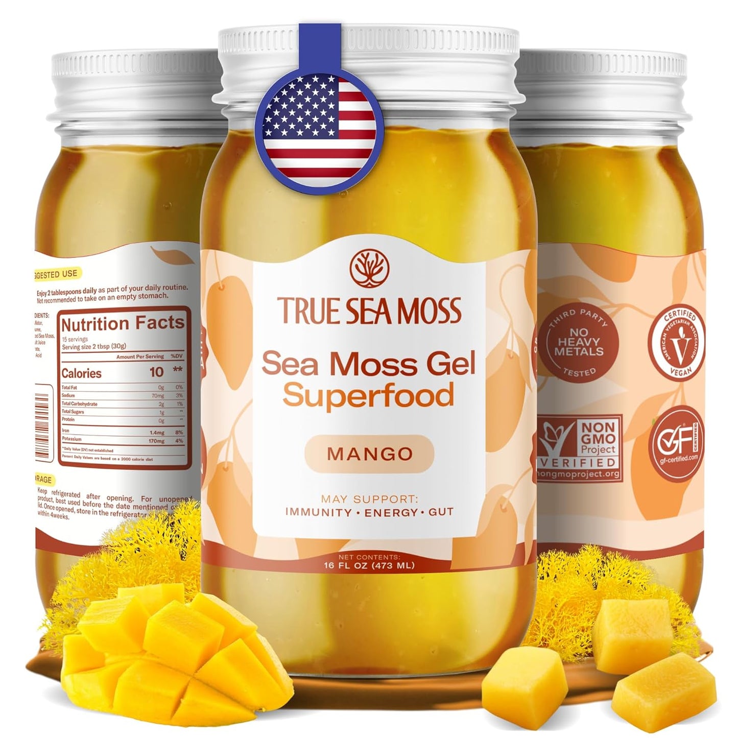 TrueSeaMoss Sea Moss Gel – Made in USA – Wildcrafted Seamoss, Fresh Fruits & Sea Vegetables – Apple/Cinnamon, Pack of 1 (Labels may Vary)