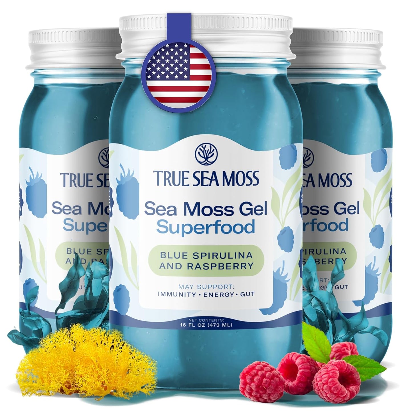 TrueSeaMoss Sea Moss Gel – Made in USA – Wildcrafted Seamoss, Fresh Fruits & Sea Vegetables – Apple/Cinnamon, Pack of 1 (Labels may Vary)