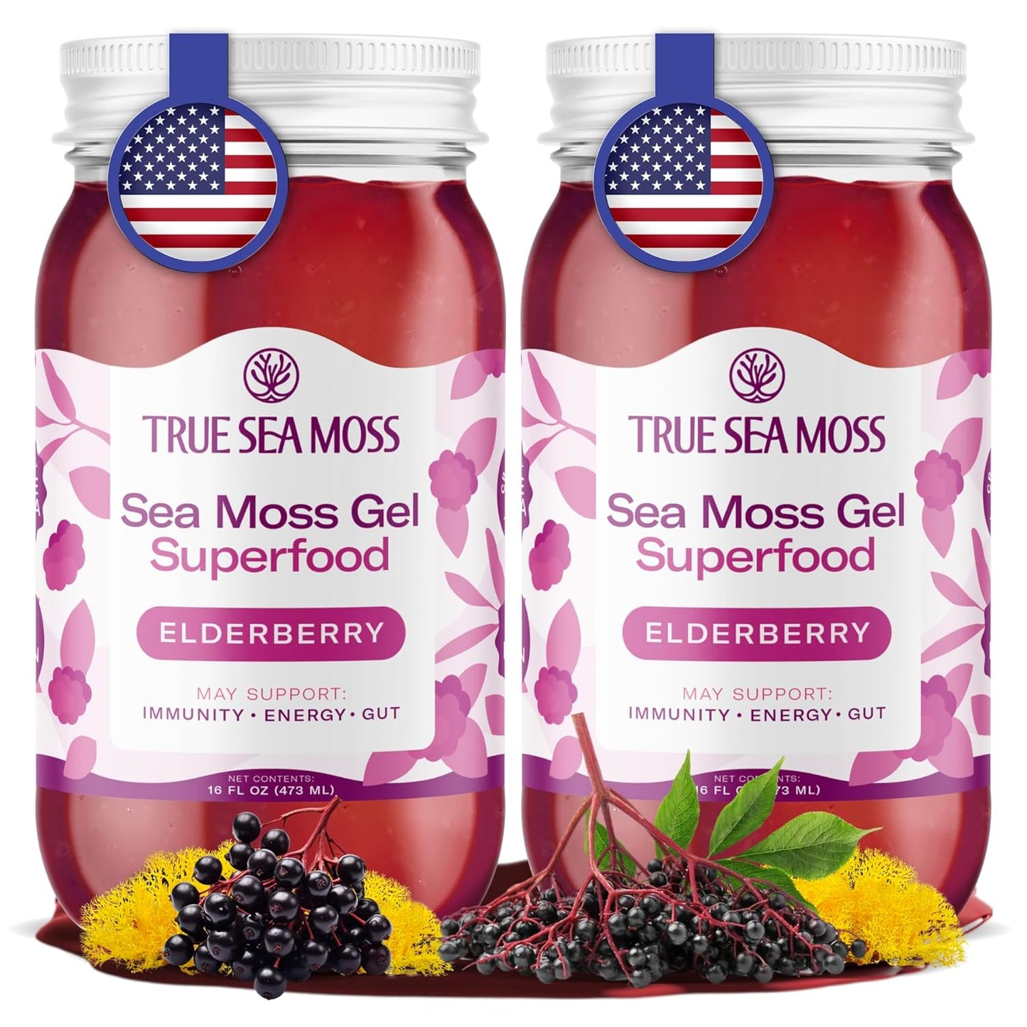 TrueSeaMoss Sea Moss Gel – Made in USA – Wildcrafted Seamoss, Fresh Fruits & Sea Vegetables – Apple/Cinnamon, Pack of 1 (Labels may Vary)