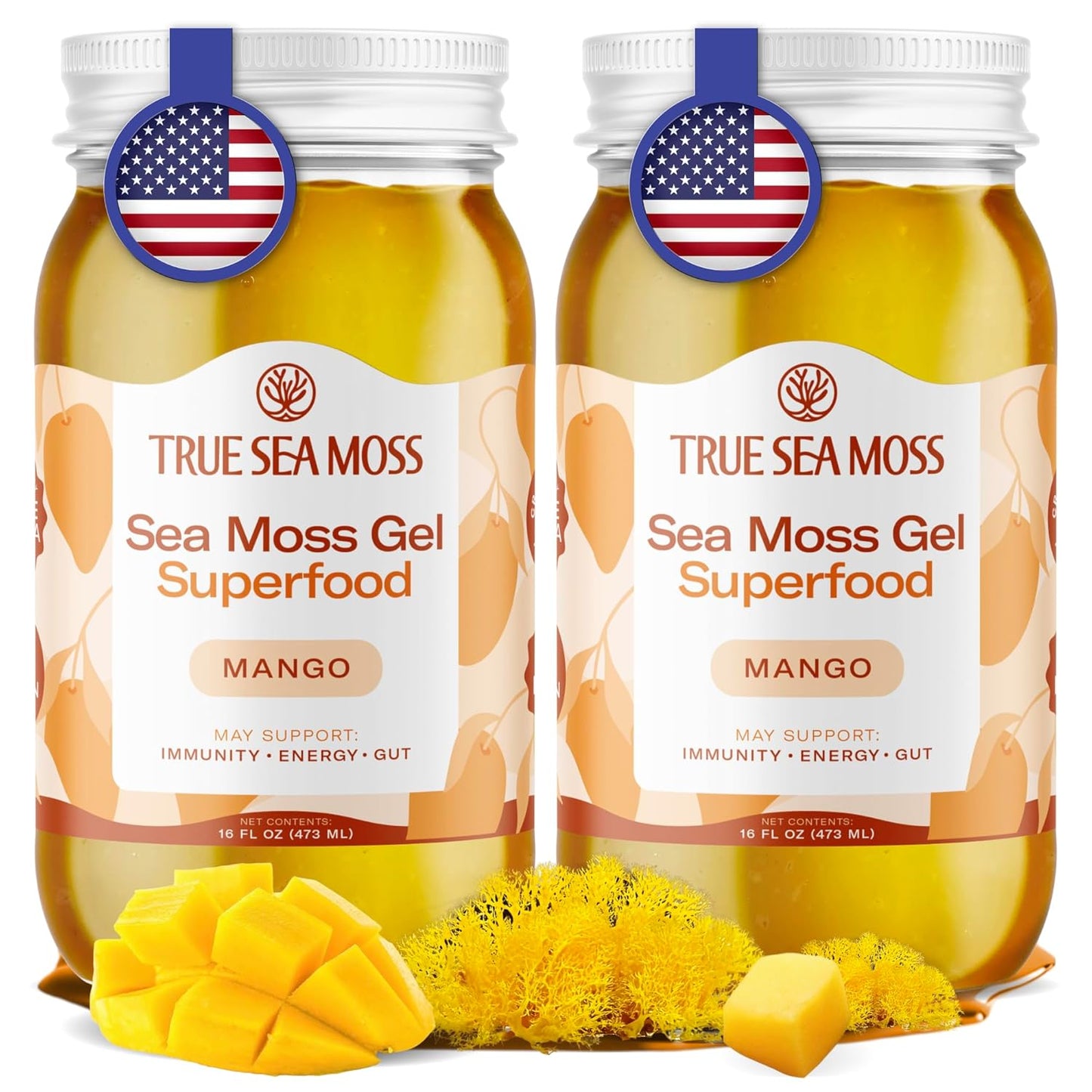 TrueSeaMoss Sea Moss Gel – Made in USA – Wildcrafted Seamoss, Fresh Fruits & Sea Vegetables – Apple/Cinnamon, Pack of 1 (Labels may Vary)