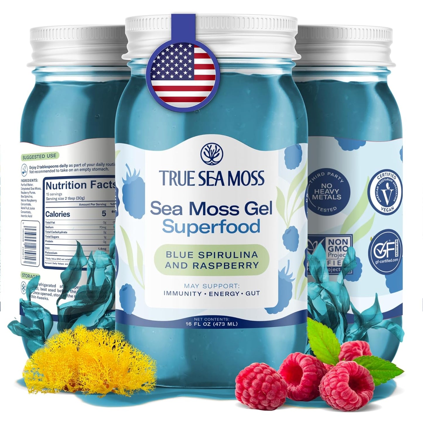 TrueSeaMoss Sea Moss Gel – Made in USA – Wildcrafted Seamoss, Fresh Fruits & Sea Vegetables – Apple/Cinnamon, Pack of 1 (Labels may Vary)