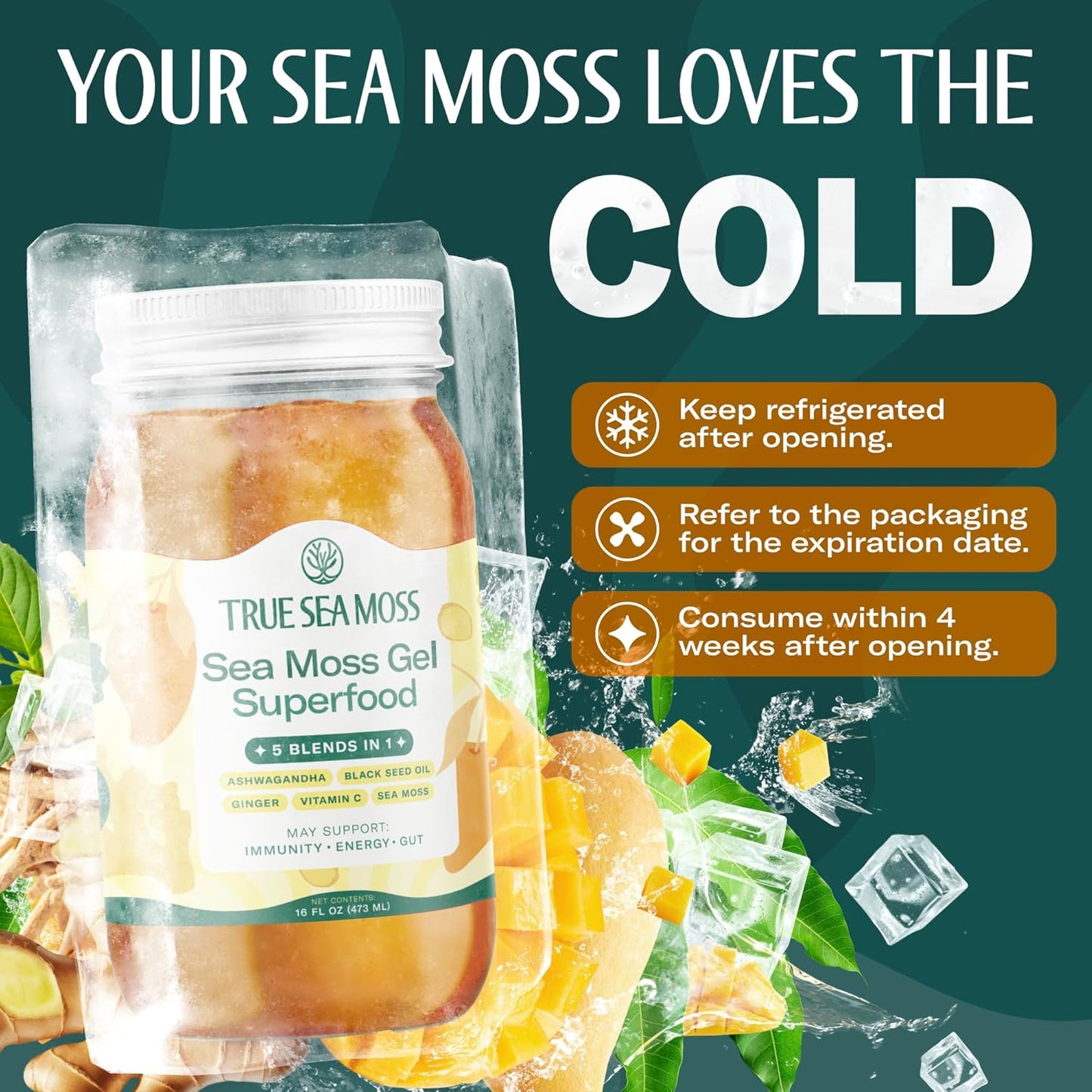 TrueSeaMoss Sea Moss Gel – Made in USA – Wildcrafted Seamoss, Fresh Fruits & Sea Vegetables – Apple/Cinnamon, Pack of 1 (Labels may Vary)