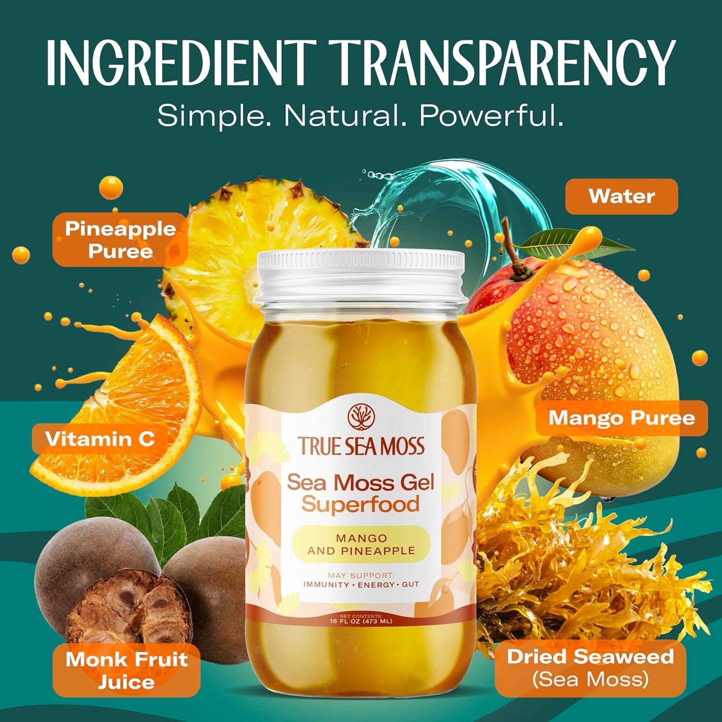 TrueSeaMoss Sea Moss Gel – Made in USA – Wildcrafted Seamoss, Fresh Fruits & Sea Vegetables – Apple/Cinnamon, Pack of 1 (Labels may Vary)
