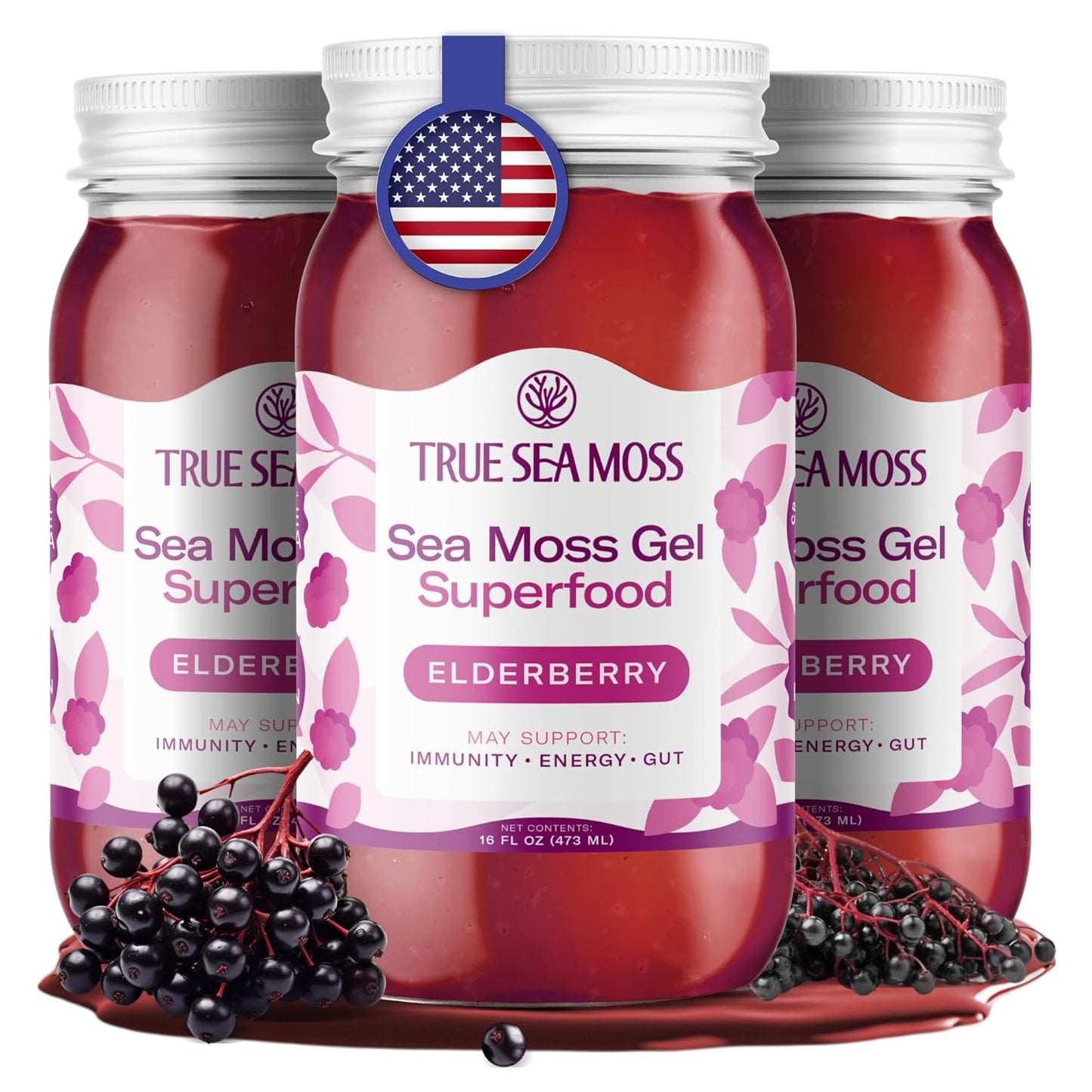 TrueSeaMoss Sea Moss Gel – Made in USA – Wildcrafted Seamoss, Fresh Fruits & Sea Vegetables – Apple/Cinnamon, Pack of 1 (Labels may Vary)