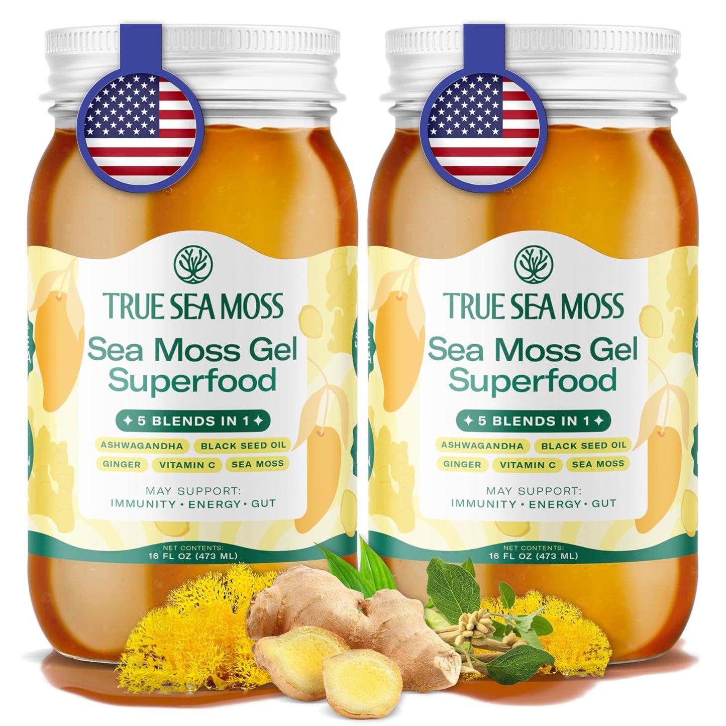 TrueSeaMoss Sea Moss Gel – Made in USA – Wildcrafted Seamoss, Fresh Fruits & Sea Vegetables – Apple/Cinnamon, Pack of 1 (Labels may Vary)