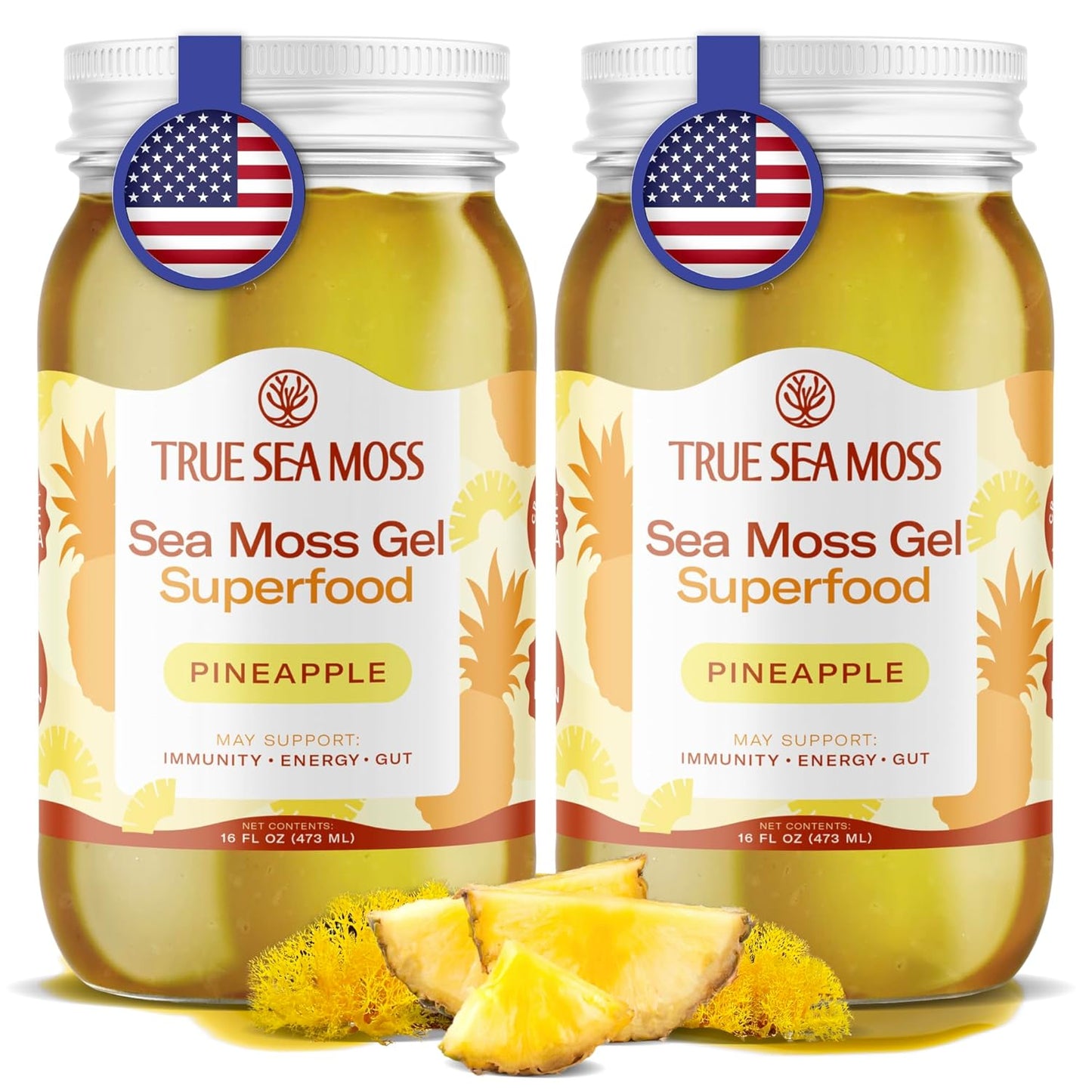 TrueSeaMoss Sea Moss Gel – Made in USA – Wildcrafted Seamoss, Fresh Fruits & Sea Vegetables – Apple/Cinnamon, Pack of 1 (Labels may Vary)