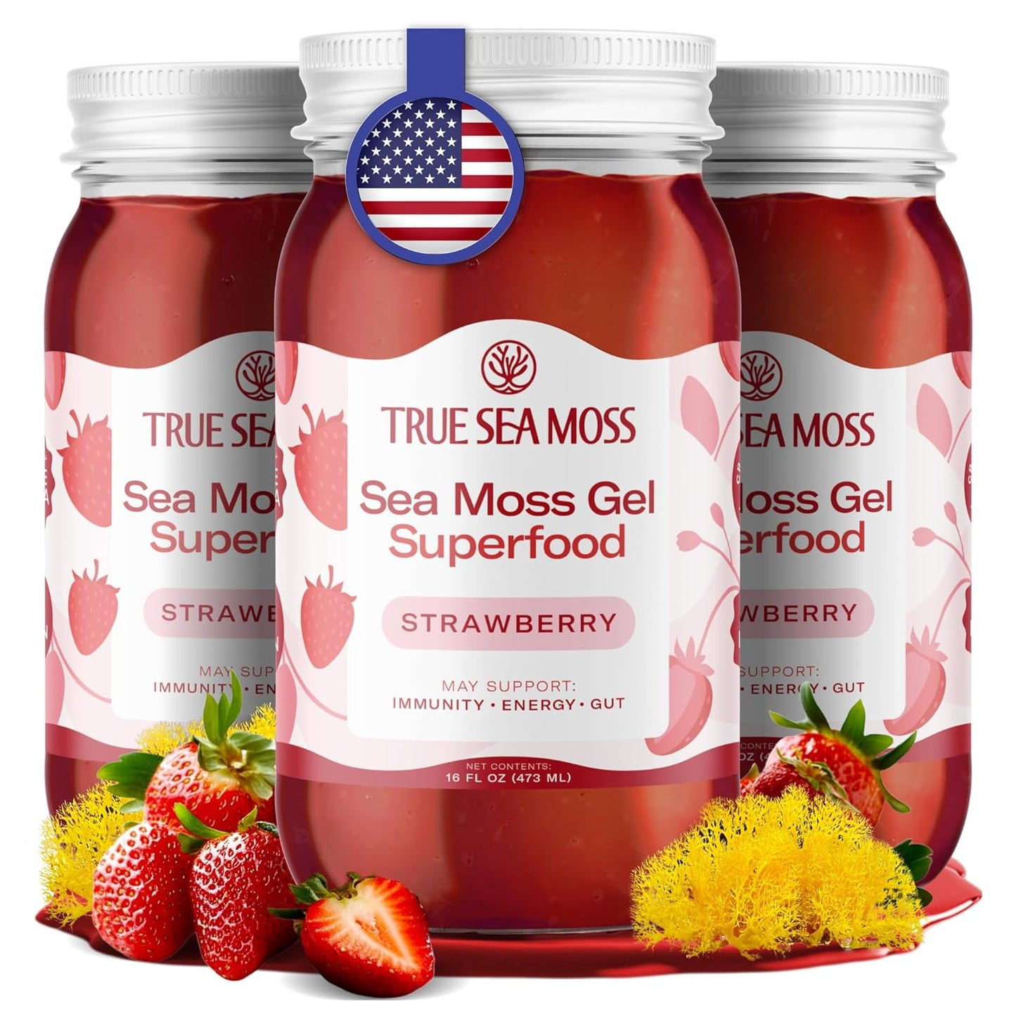TrueSeaMoss Sea Moss Gel – Made in USA – Wildcrafted Seamoss, Fresh Fruits & Sea Vegetables – Apple/Cinnamon, Pack of 1 (Labels may Vary)