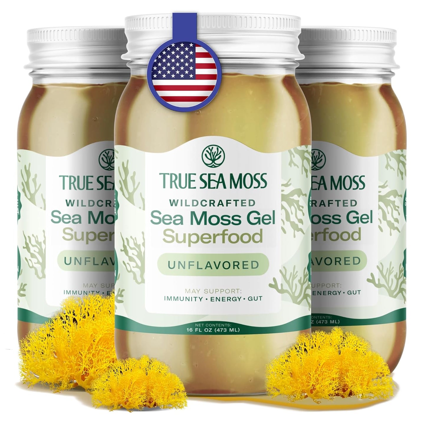 TrueSeaMoss Sea Moss Gel – Made in USA – Wildcrafted Seamoss, Fresh Fruits & Sea Vegetables – Apple/Cinnamon, Pack of 1 (Labels may Vary)
