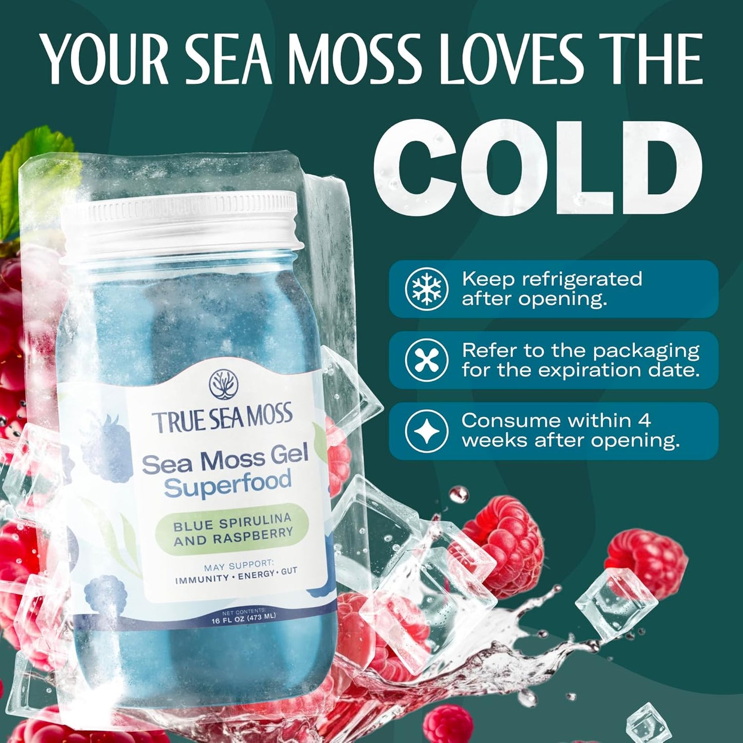 TrueSeaMoss Sea Moss Gel – Made in USA – Wildcrafted Seamoss, Fresh Fruits & Sea Vegetables – Apple/Cinnamon, Pack of 1 (Labels may Vary)