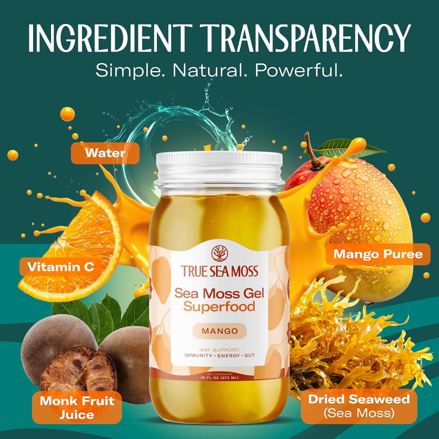 TrueSeaMoss Sea Moss Gel – Made in USA – Wildcrafted Seamoss, Fresh Fruits & Sea Vegetables – Apple/Cinnamon, Pack of 1 (Labels may Vary)