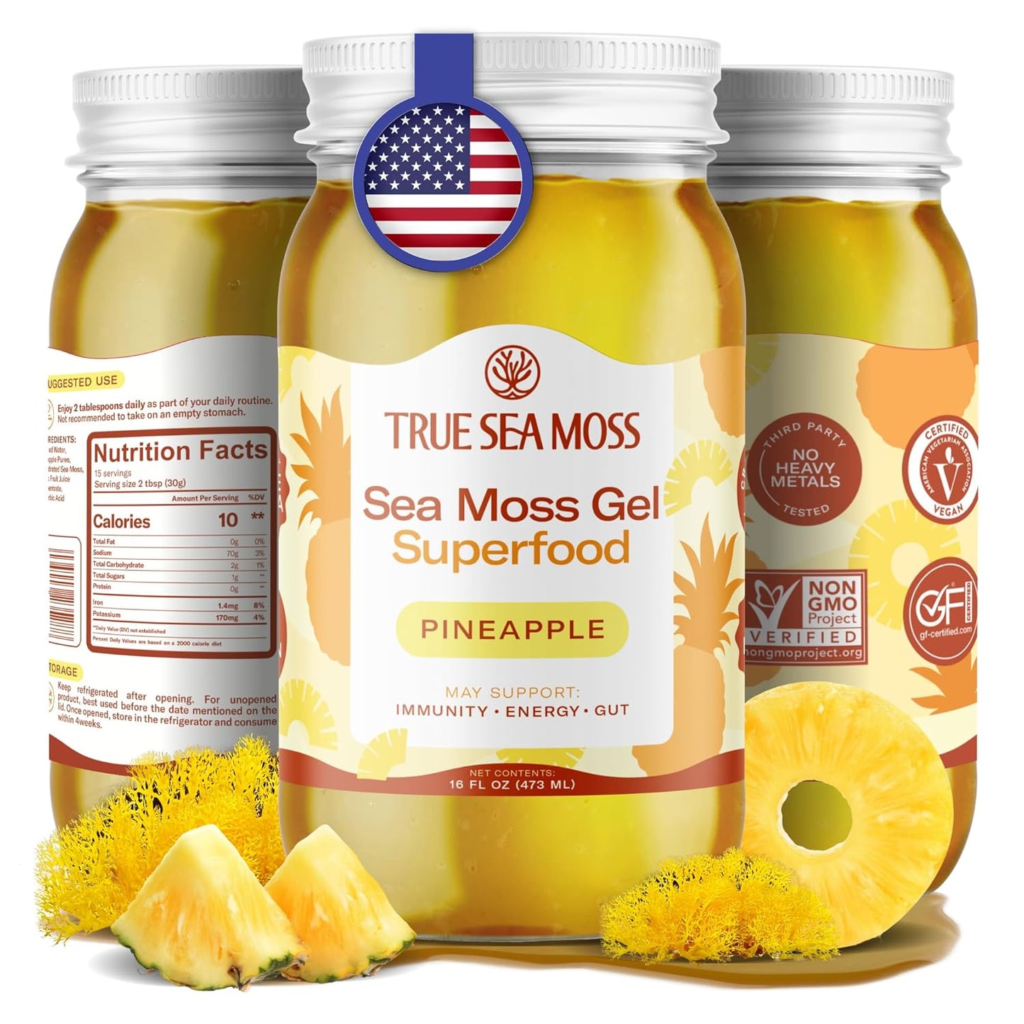 TrueSeaMoss Sea Moss Gel – Made in USA – Wildcrafted Seamoss, Fresh Fruits & Sea Vegetables – Apple/Cinnamon, Pack of 1 (Labels may Vary)