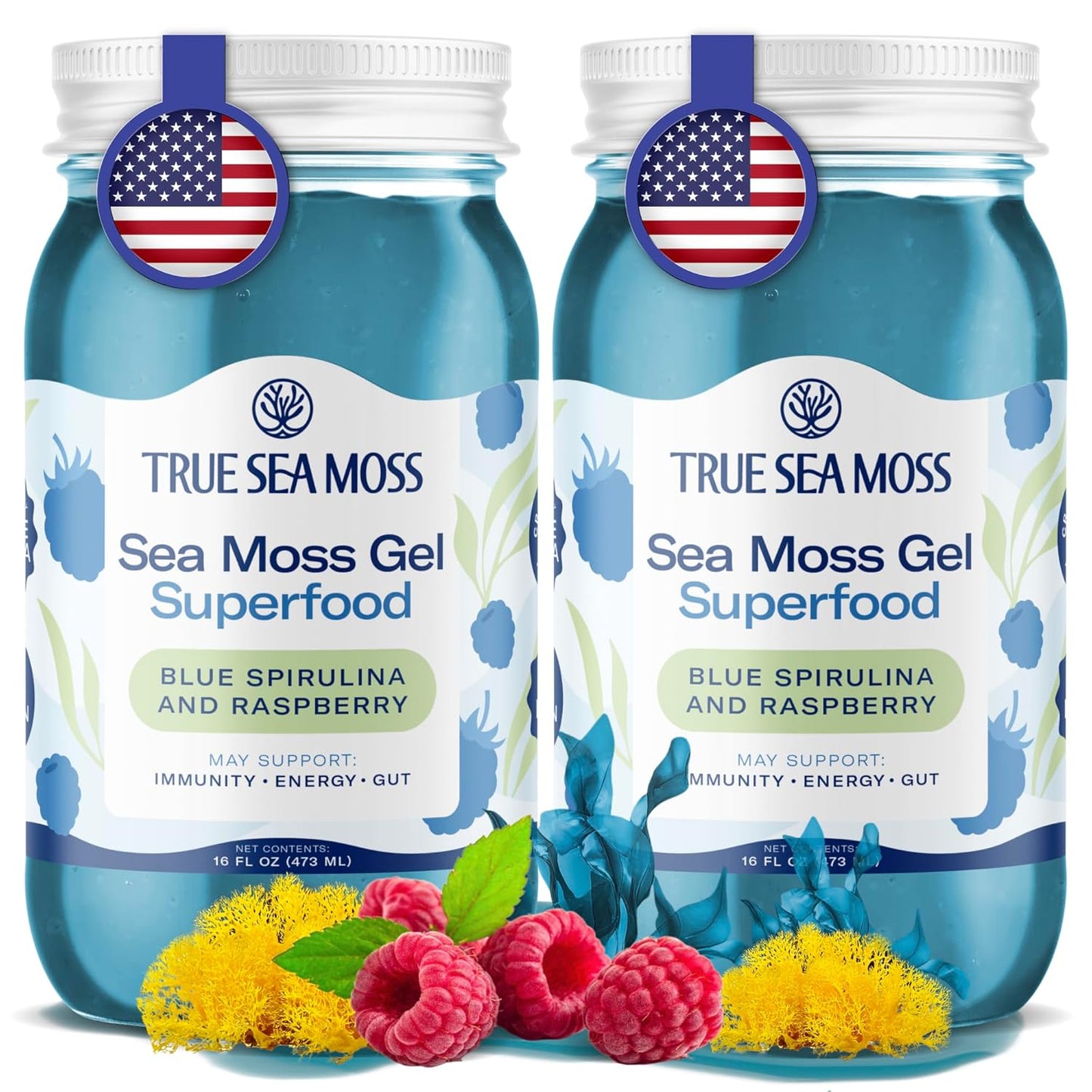 TrueSeaMoss Sea Moss Gel – Made in USA – Wildcrafted Seamoss, Fresh Fruits & Sea Vegetables – Apple/Cinnamon, Pack of 1 (Labels may Vary)