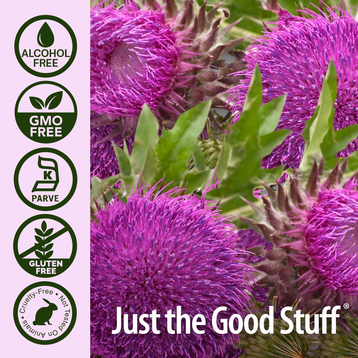 Nature's Answer Milk Thistle 2 Ounce Extract - Alcohol Free, Non GMO, Liver Support Supplement for Everyone - Liver Detox, Made in USA