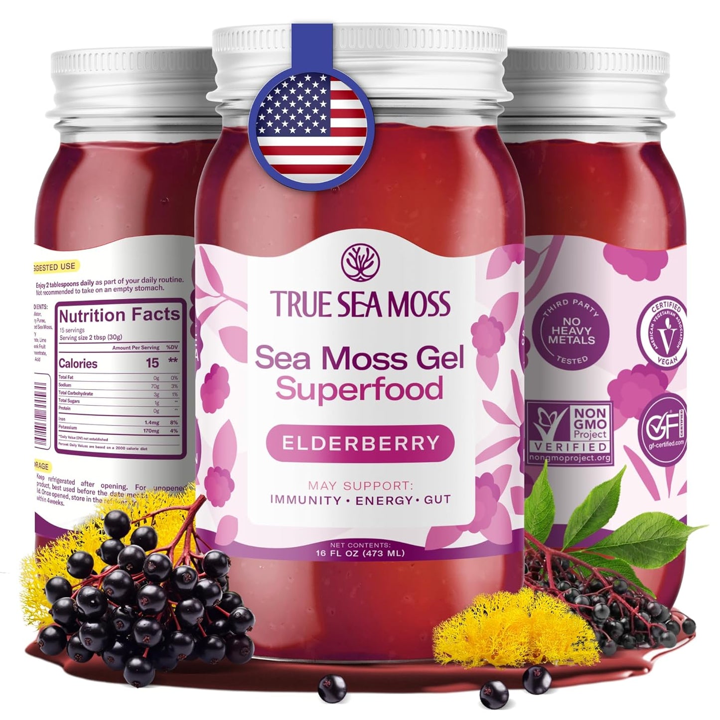 TrueSeaMoss Sea Moss Gel – Made in USA – Wildcrafted Seamoss, Fresh Fruits & Sea Vegetables – Apple/Cinnamon, Pack of 1 (Labels may Vary)