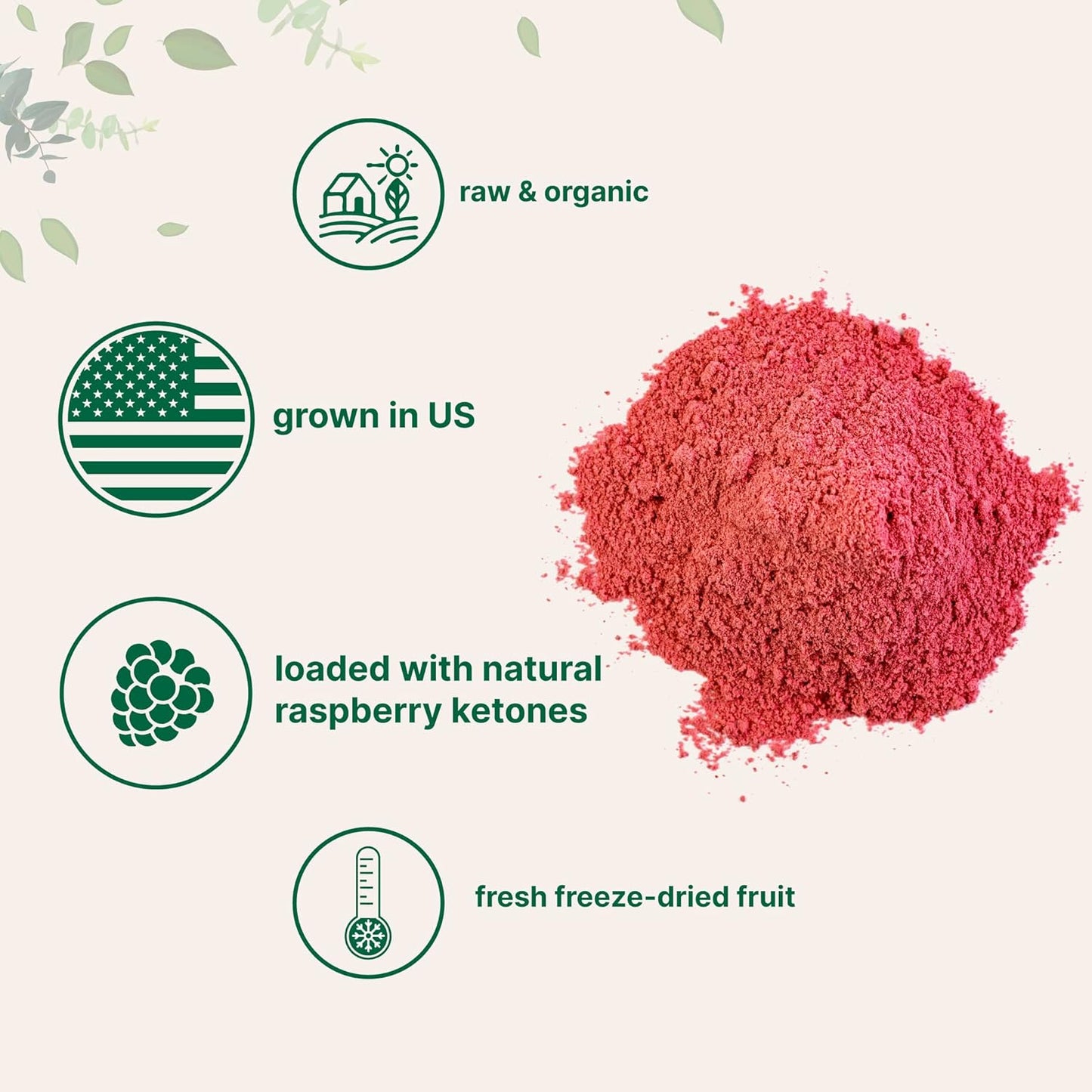 Organic Acerola Powder, 8oz | Natural Organic Vitamin C Superfood | No Sugar & Additives | Great Flavor for Drinks, Smoothie, & Beverages | Non-GMO & Vegan Friendly, Brazil Origin