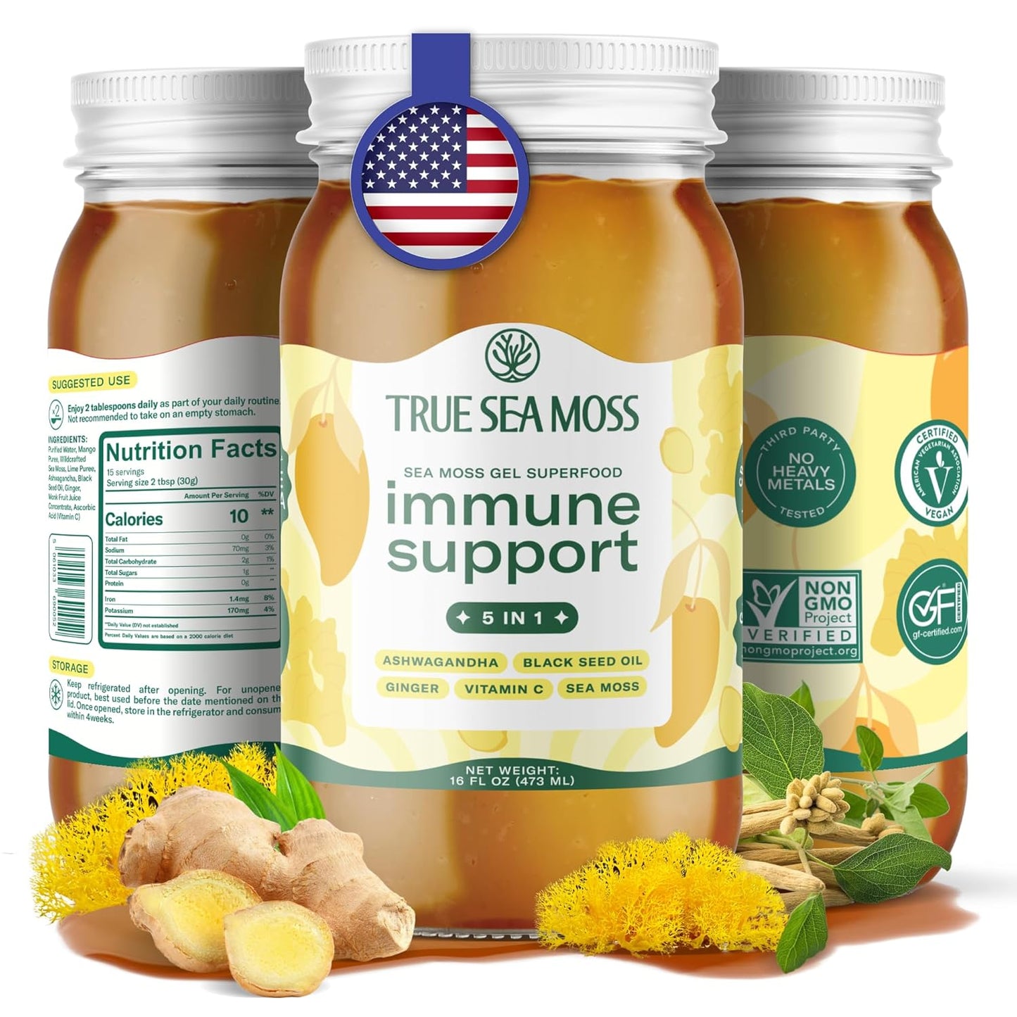 TrueSeaMoss Sea Moss Gel – Made in USA – Wildcrafted Seamoss, Fresh Fruits & Sea Vegetables – Apple/Cinnamon, Pack of 1 (Labels may Vary)