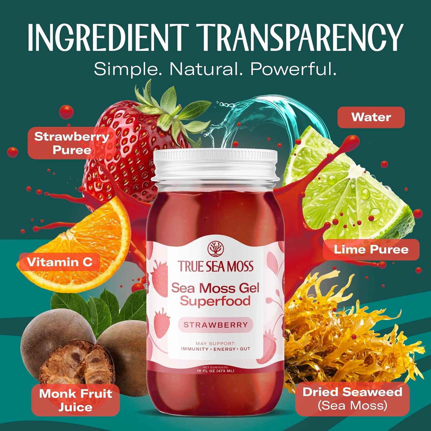 TrueSeaMoss Sea Moss Gel – Made in USA – Wildcrafted Seamoss, Fresh Fruits & Sea Vegetables – Apple/Cinnamon, Pack of 1 (Labels may Vary)