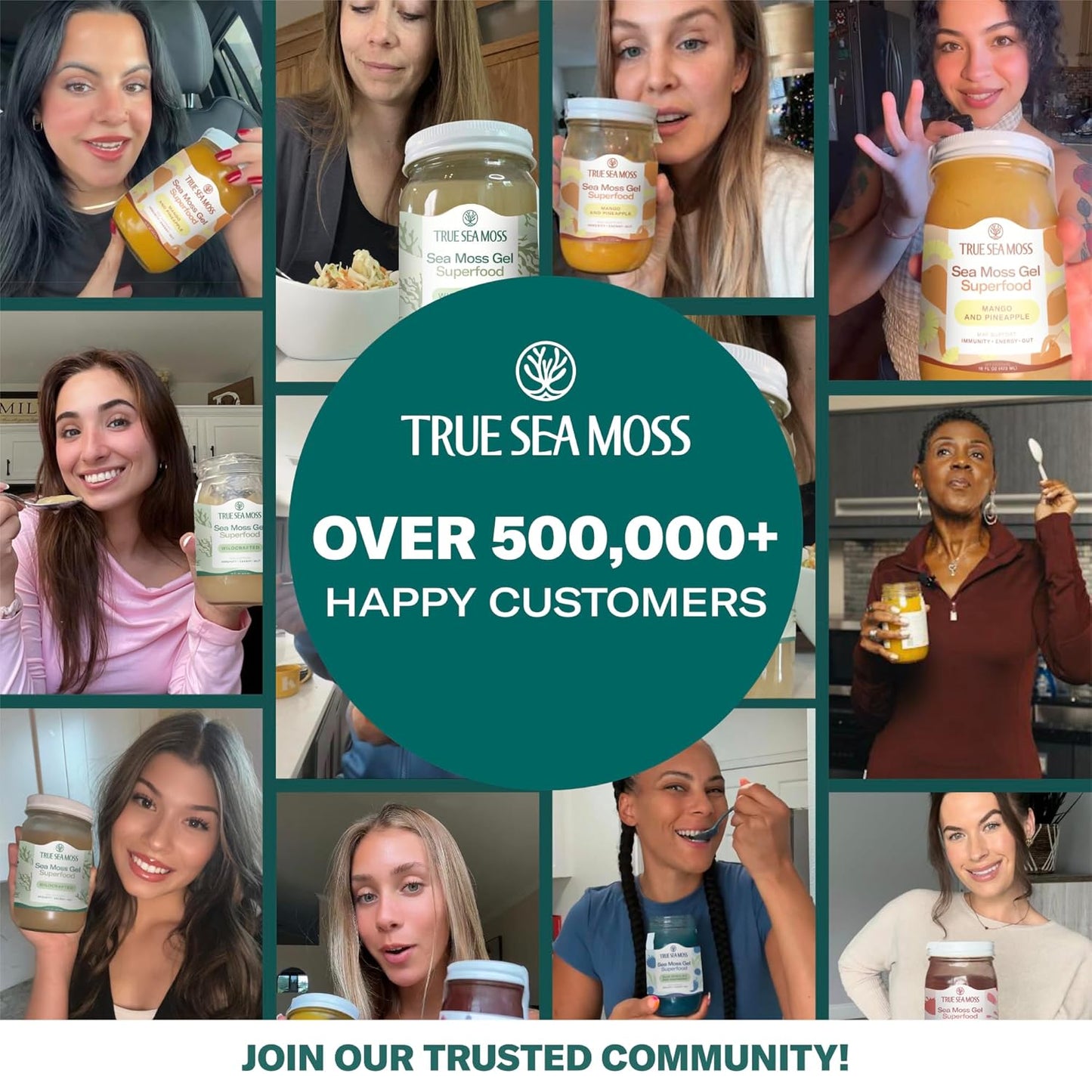 TrueSeaMoss Sea Moss Gel – Made in USA – Wildcrafted Seamoss, Fresh Fruits & Sea Vegetables – Apple/Cinnamon, Pack of 1 (Labels may Vary)