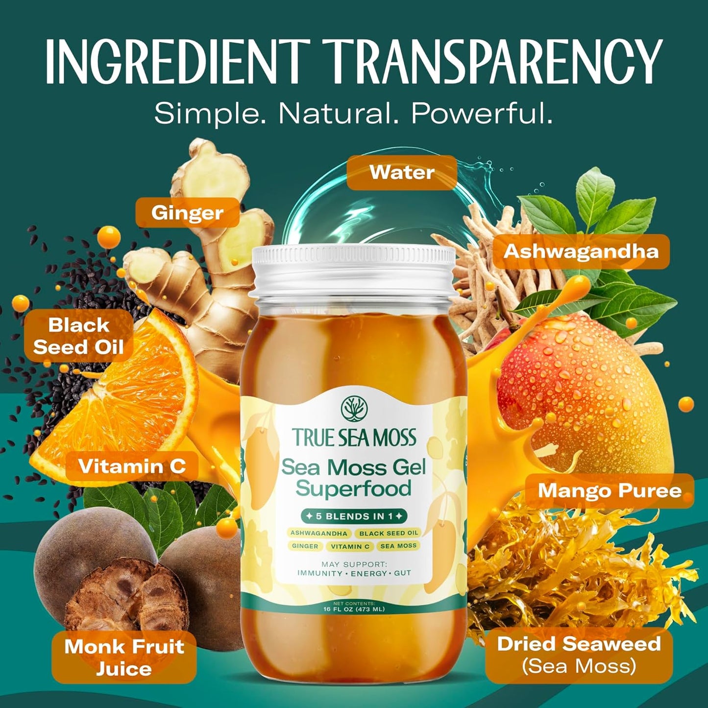 TrueSeaMoss Sea Moss Gel – Made in USA – Wildcrafted Seamoss, Fresh Fruits & Sea Vegetables – Apple/Cinnamon, Pack of 1 (Labels may Vary)
