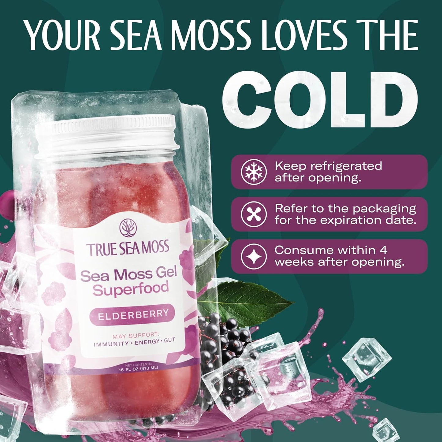 TrueSeaMoss Sea Moss Gel – Made in USA – Wildcrafted Seamoss, Fresh Fruits & Sea Vegetables – Apple/Cinnamon, Pack of 1 (Labels may Vary)