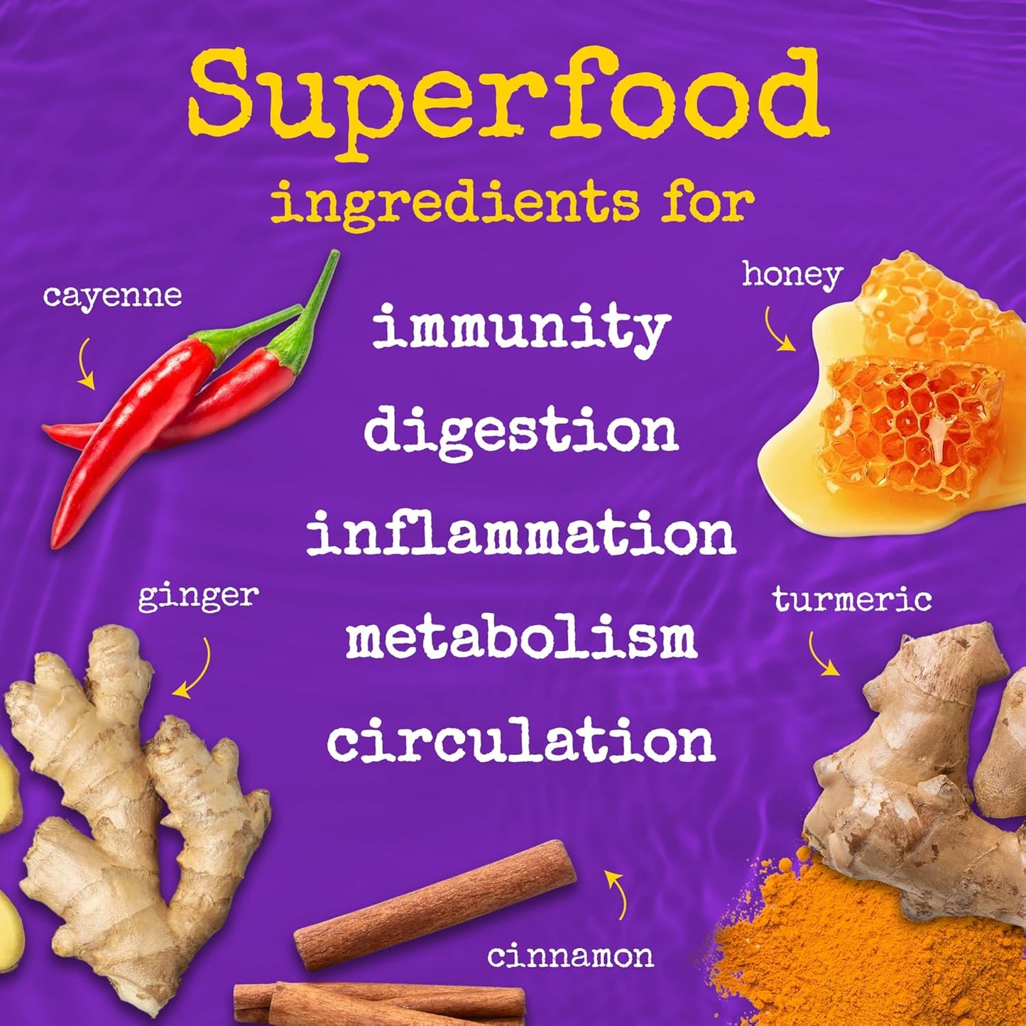The Twisted Shot | Organic Apple Cider Vinegar Wellness Shots with Ginger, Turmeric, Honey, Cinnamon and Cayenne | Digestion, Immunity and Gut Health Support | Ready to Drink | , 2 oz Mini Bottles