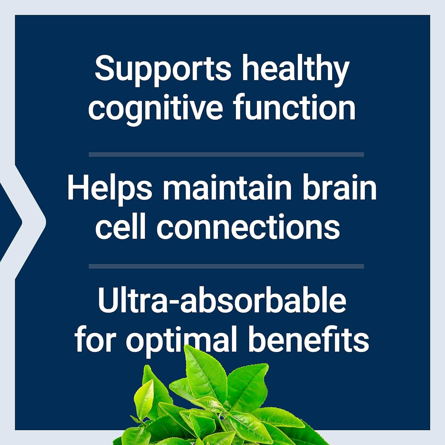 Life Extension Neuro-Mag Magnesium L-Threonate, Magnesium L-threonate, Memory Health, Quick Thinking, Cognitive Health Support, Vegetarian, Non-GMO, 90 Vegetarian Capsules