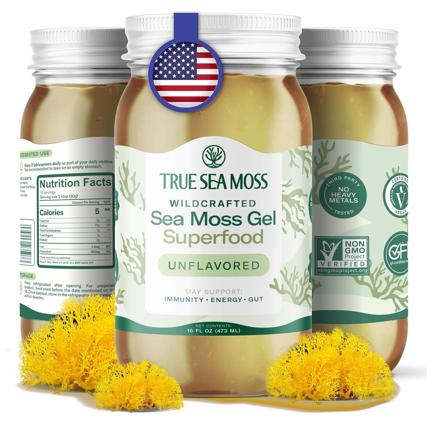 TrueSeaMoss Sea Moss Gel – Made in USA – Wildcrafted Seamoss, Fresh Fruits & Sea Vegetables – Apple/Cinnamon, Pack of 1 (Labels may Vary)