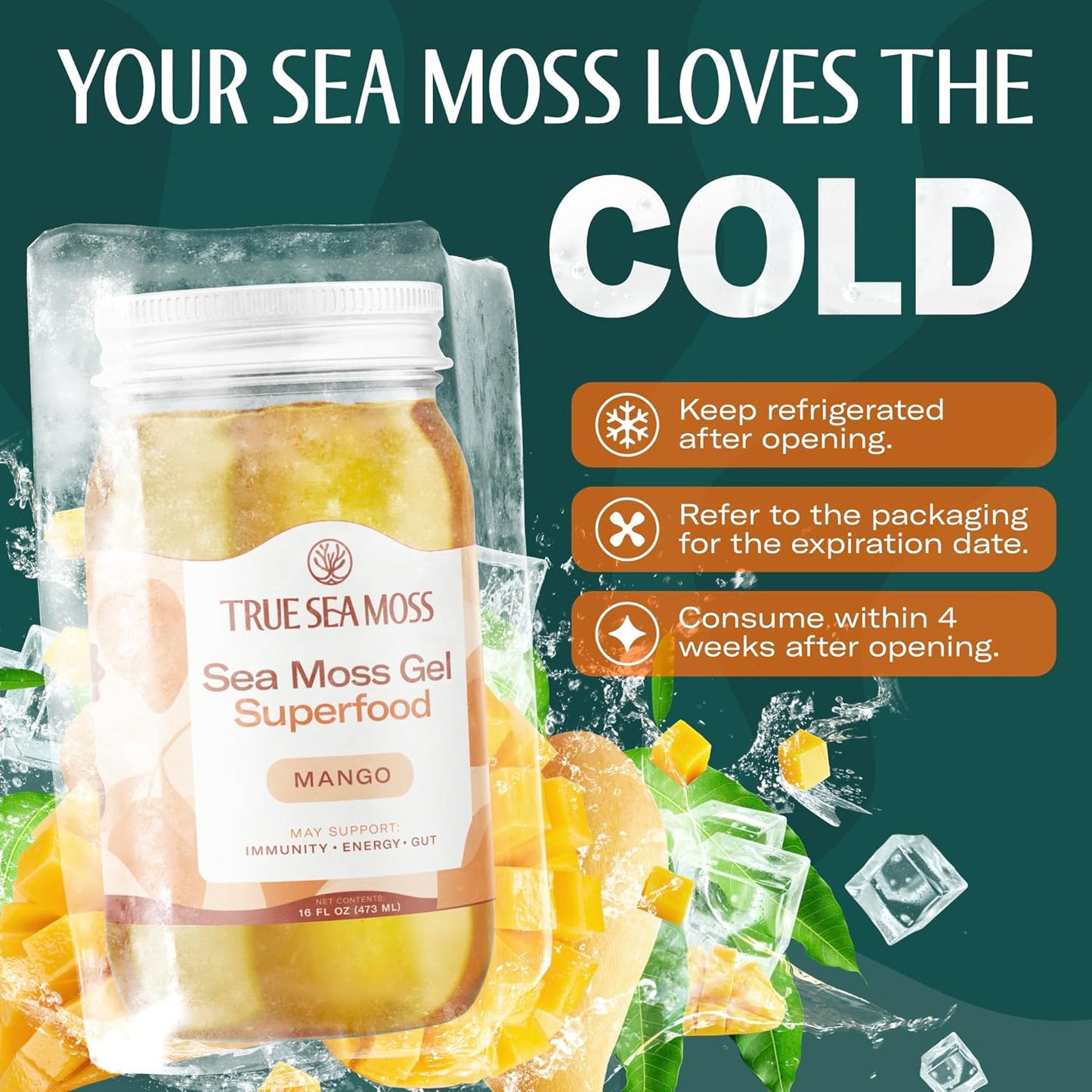 TrueSeaMoss Sea Moss Gel – Made in USA – Wildcrafted Seamoss, Fresh Fruits & Sea Vegetables – Apple/Cinnamon, Pack of 1 (Labels may Vary)